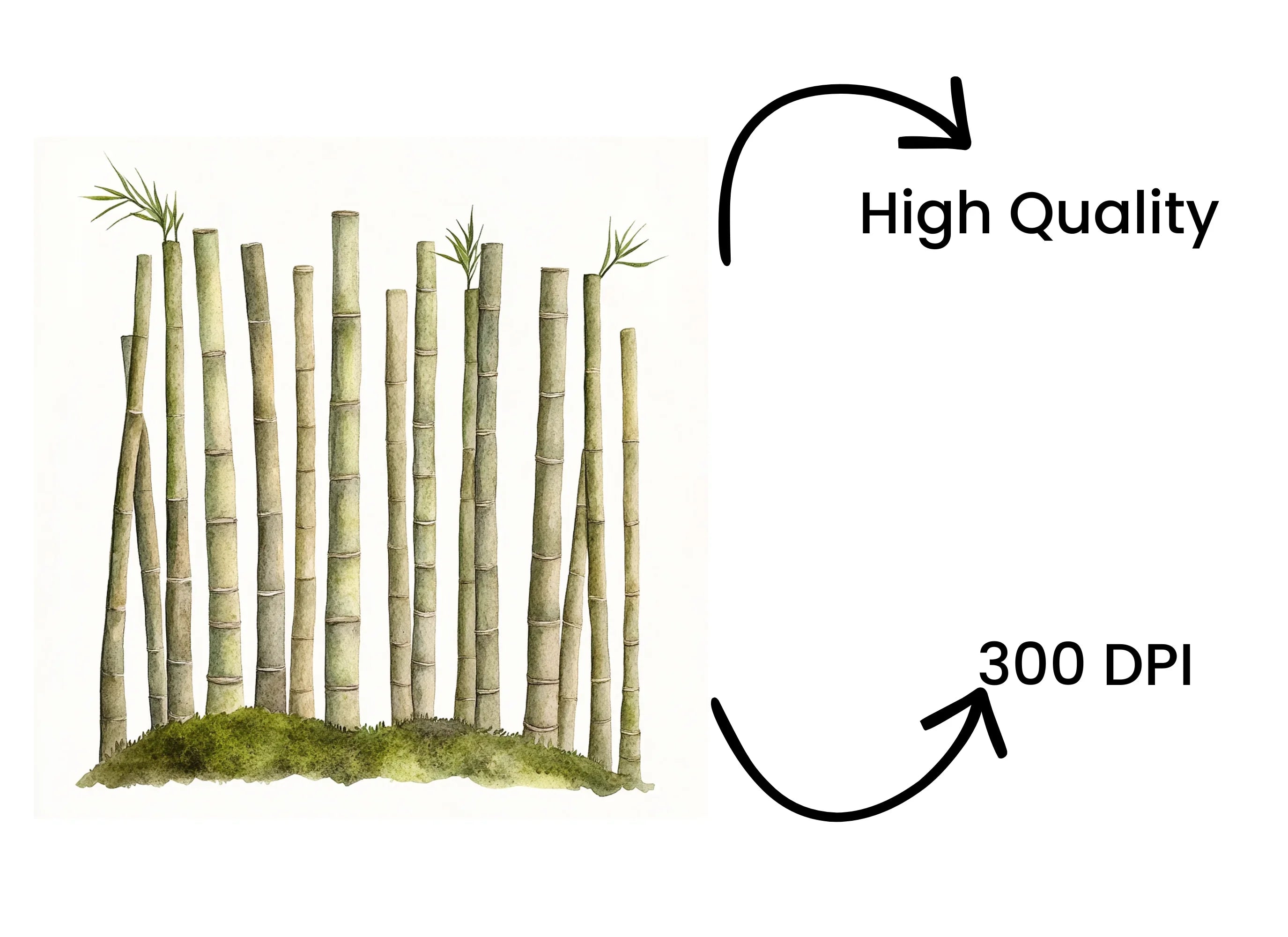 Lush Bamboo Forest Clipart Bundle