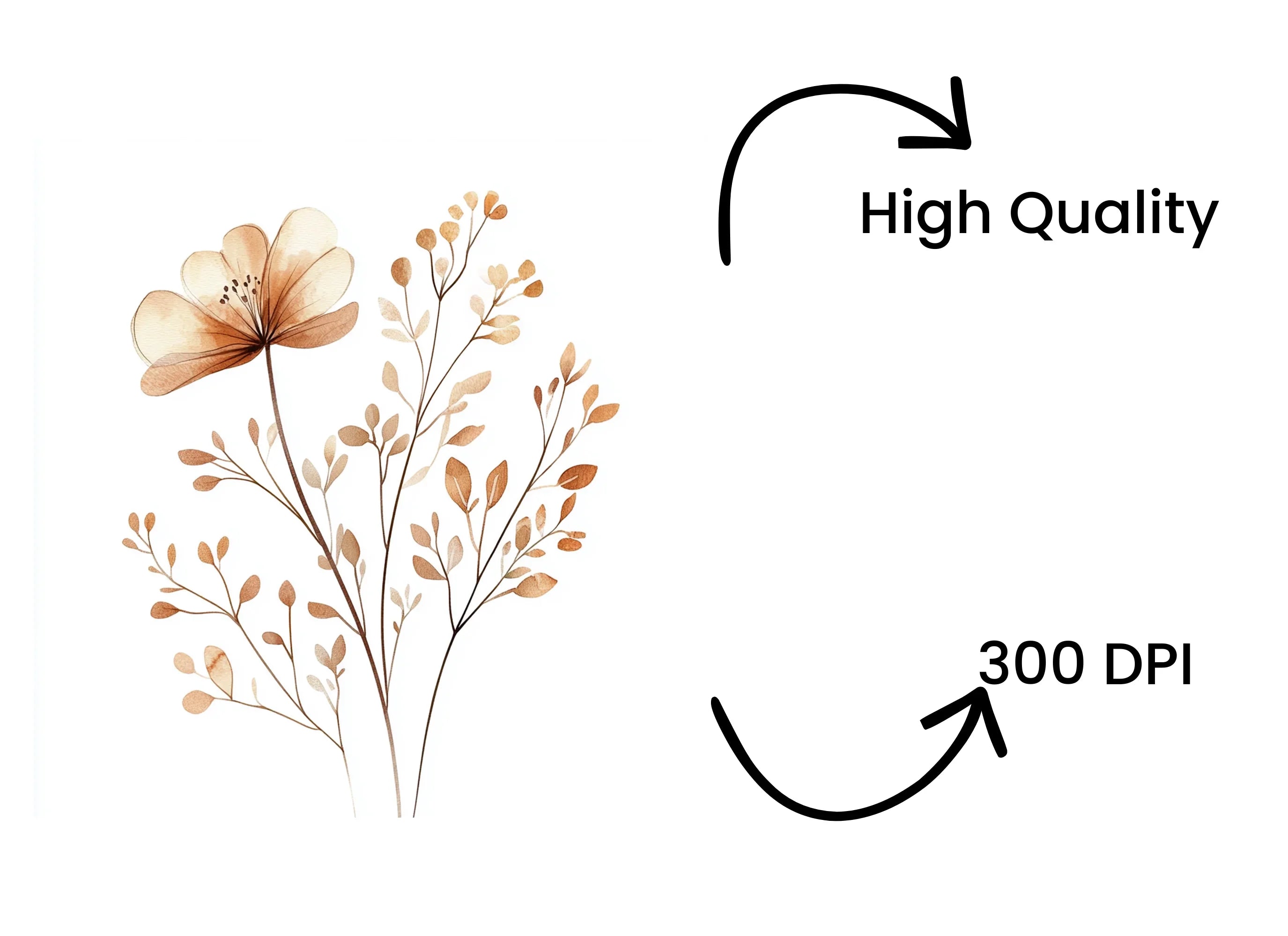 Boho Neutral Floral Clipart Bundle