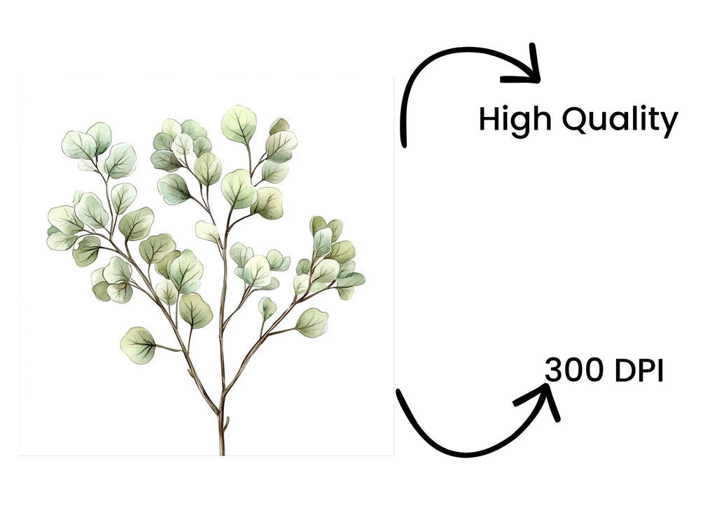 Eucalyptus Leaves Clipart Bundle