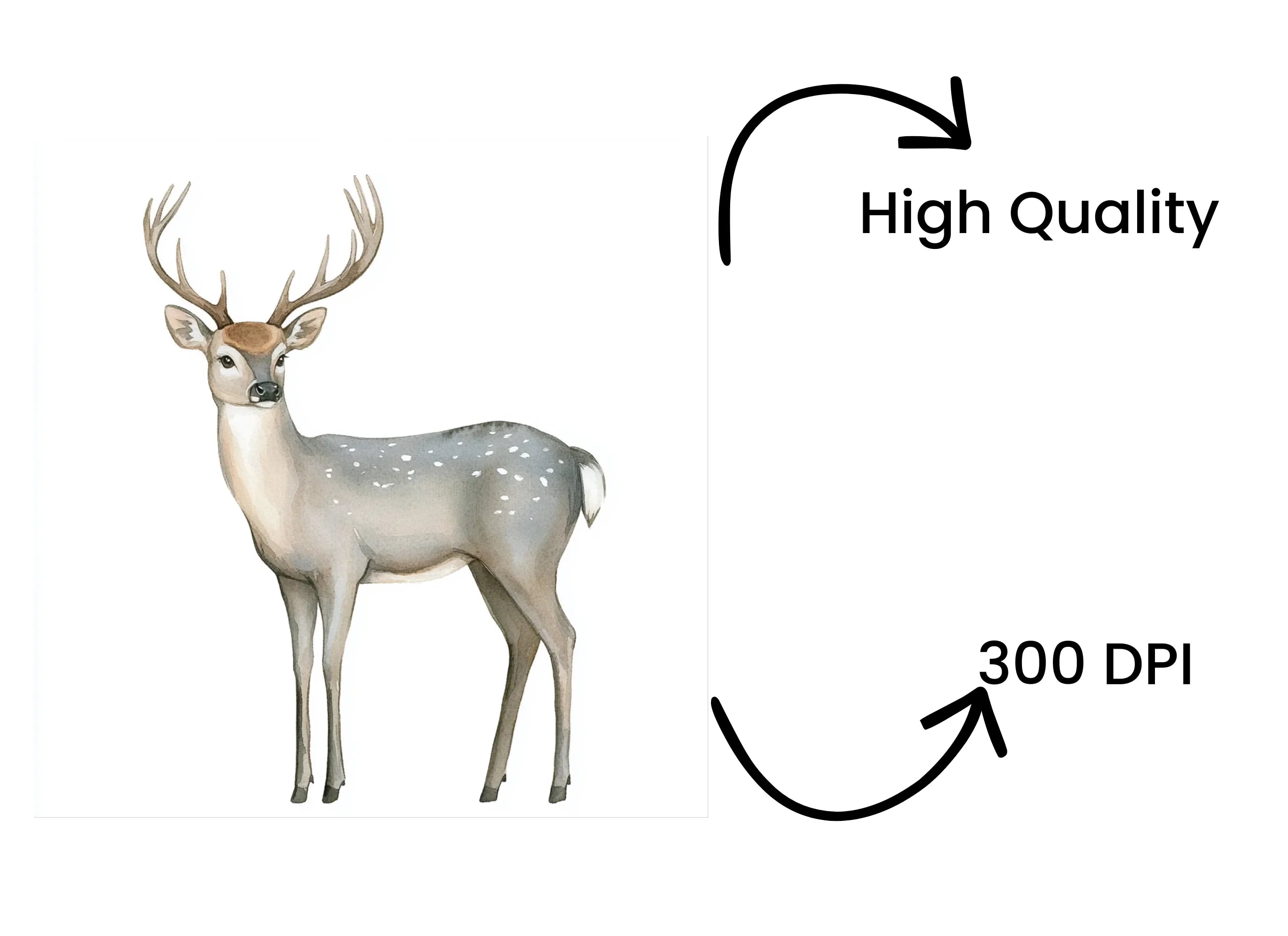 Spotted Deer Clipart Bundle