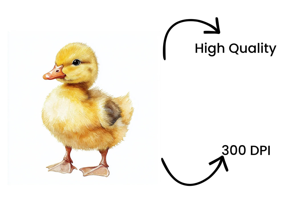 Adorable Baby Duckling Clipart Bundle