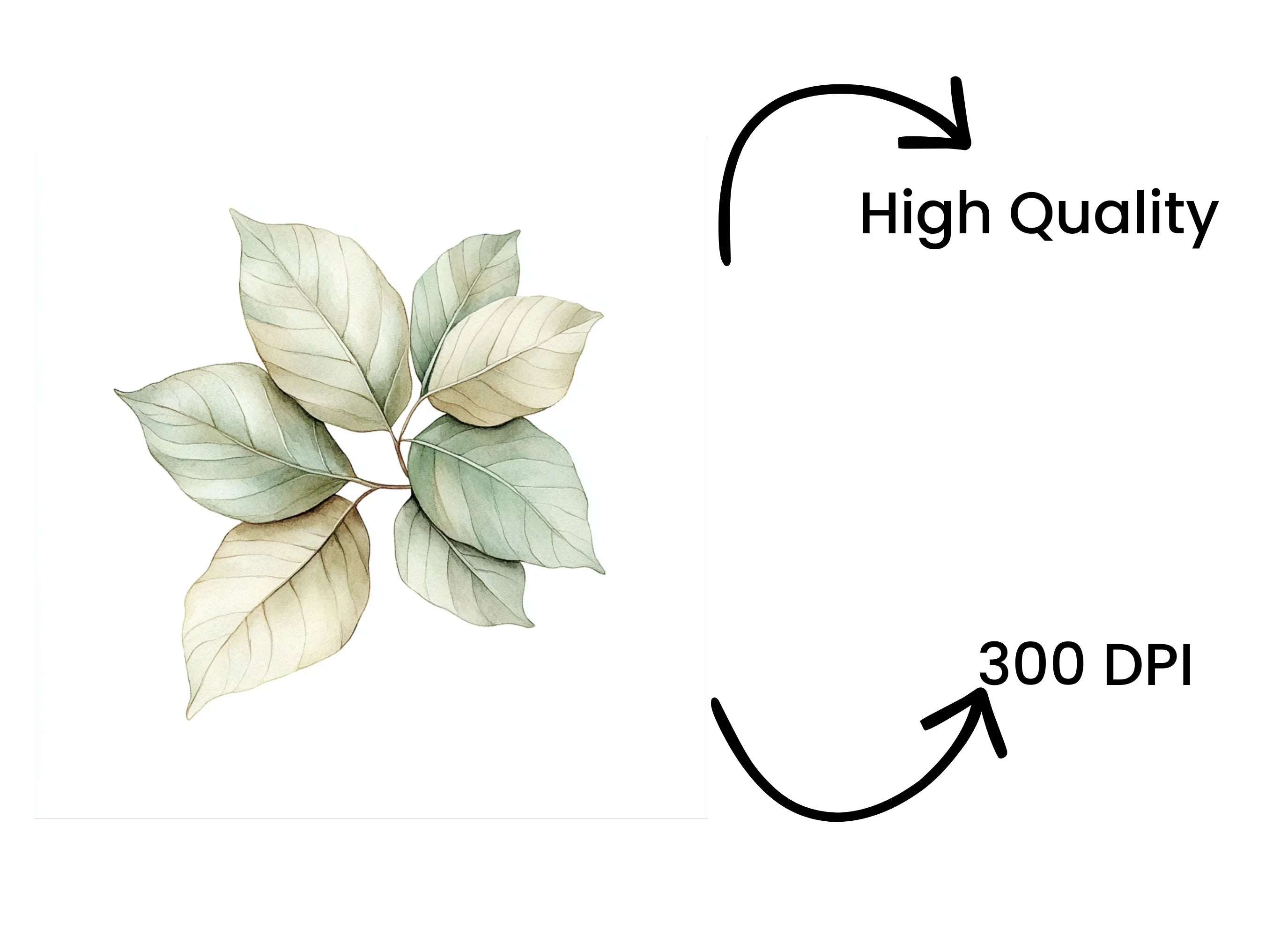 Green and White Leaves Clipart Bundle