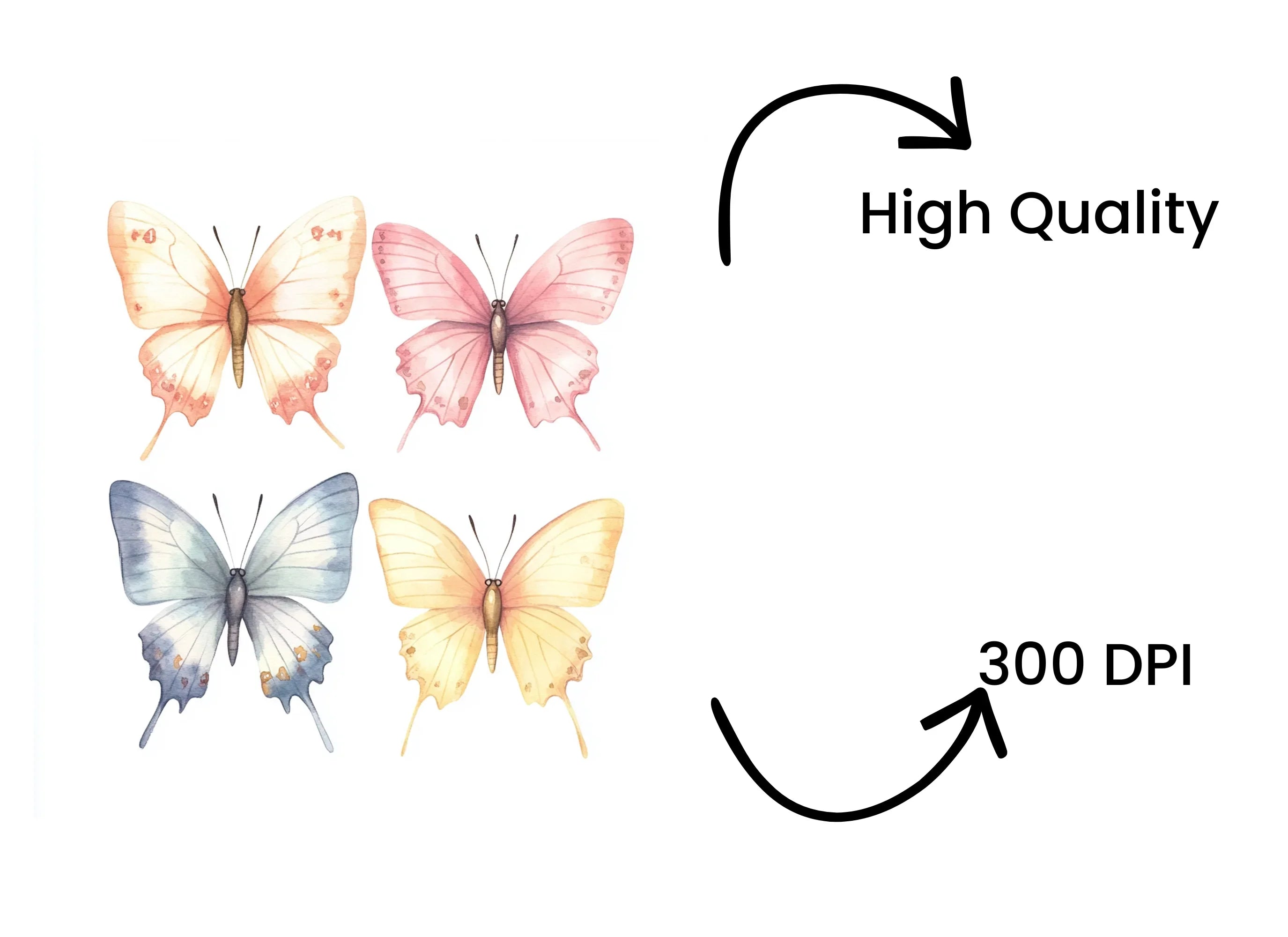 Butterfly Clipart Bundle