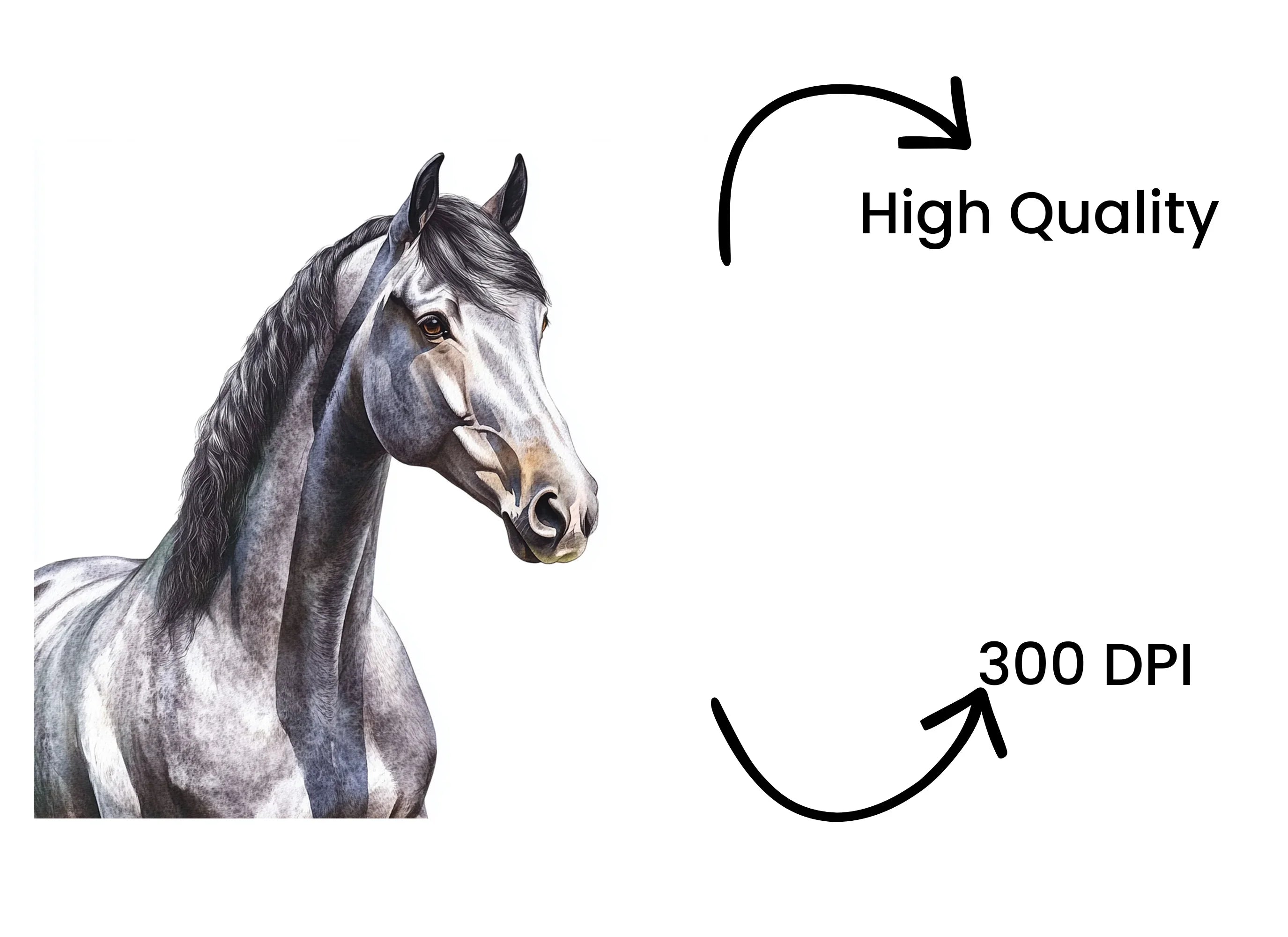 Elegant Grey Horse Head Clipart Bundle