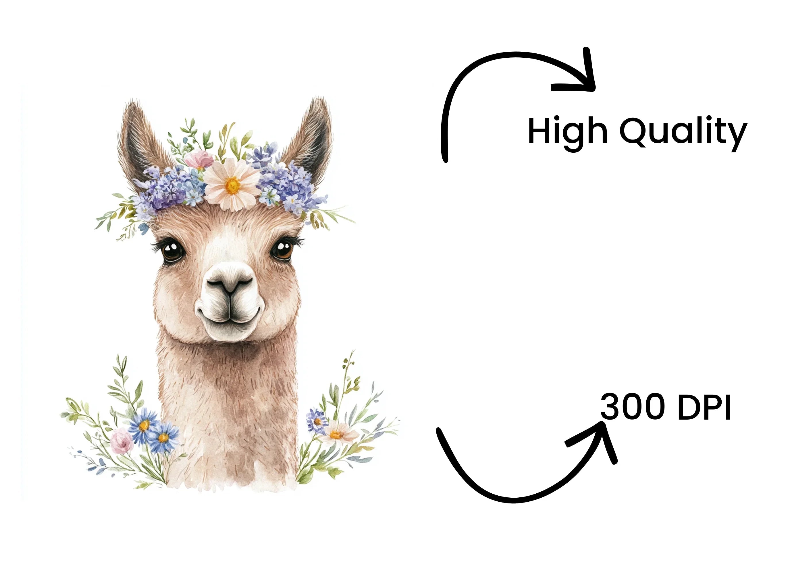 Charming Llama Portraits with Flower Crowns Clipart Bundle