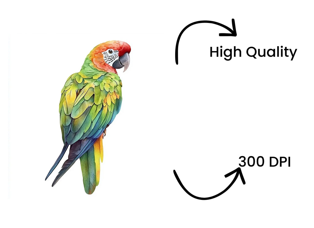 Vibrant Parrot Clipart Bundle