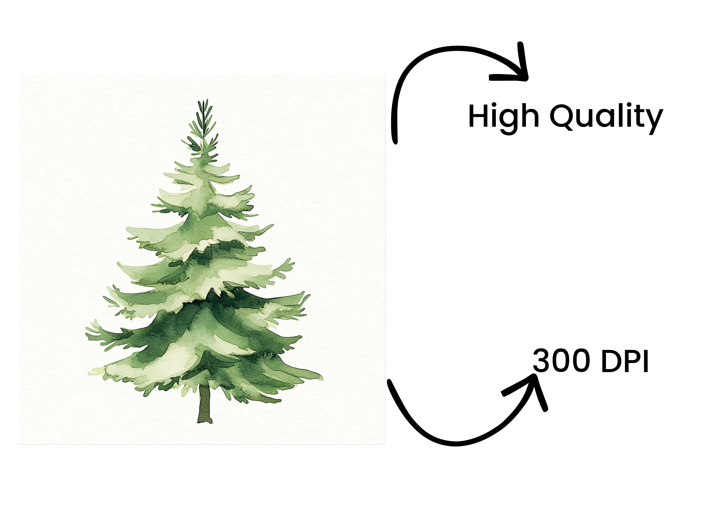 Green Pine Tree Clipart Bundle