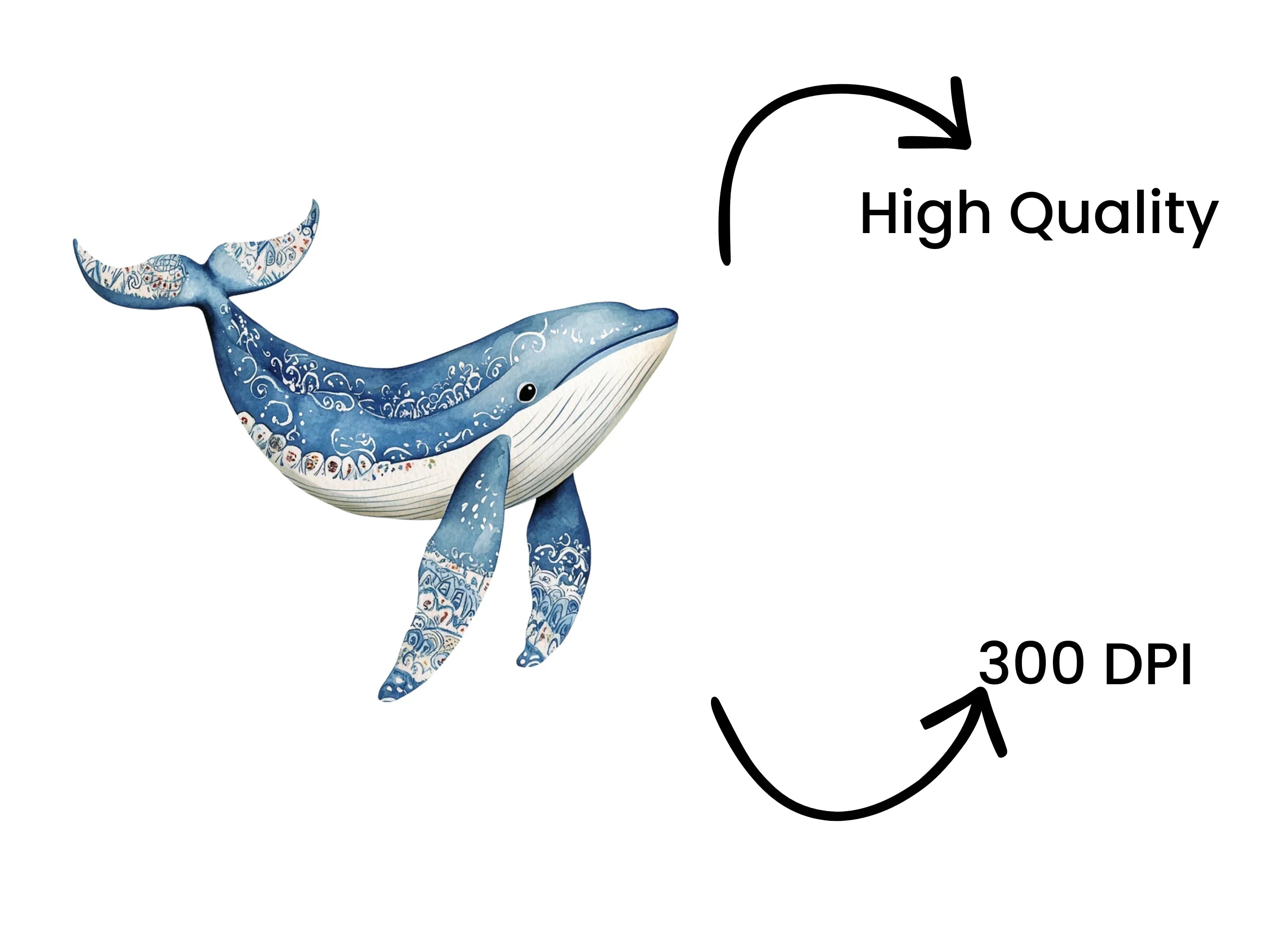 Whale Clipart Bundle
