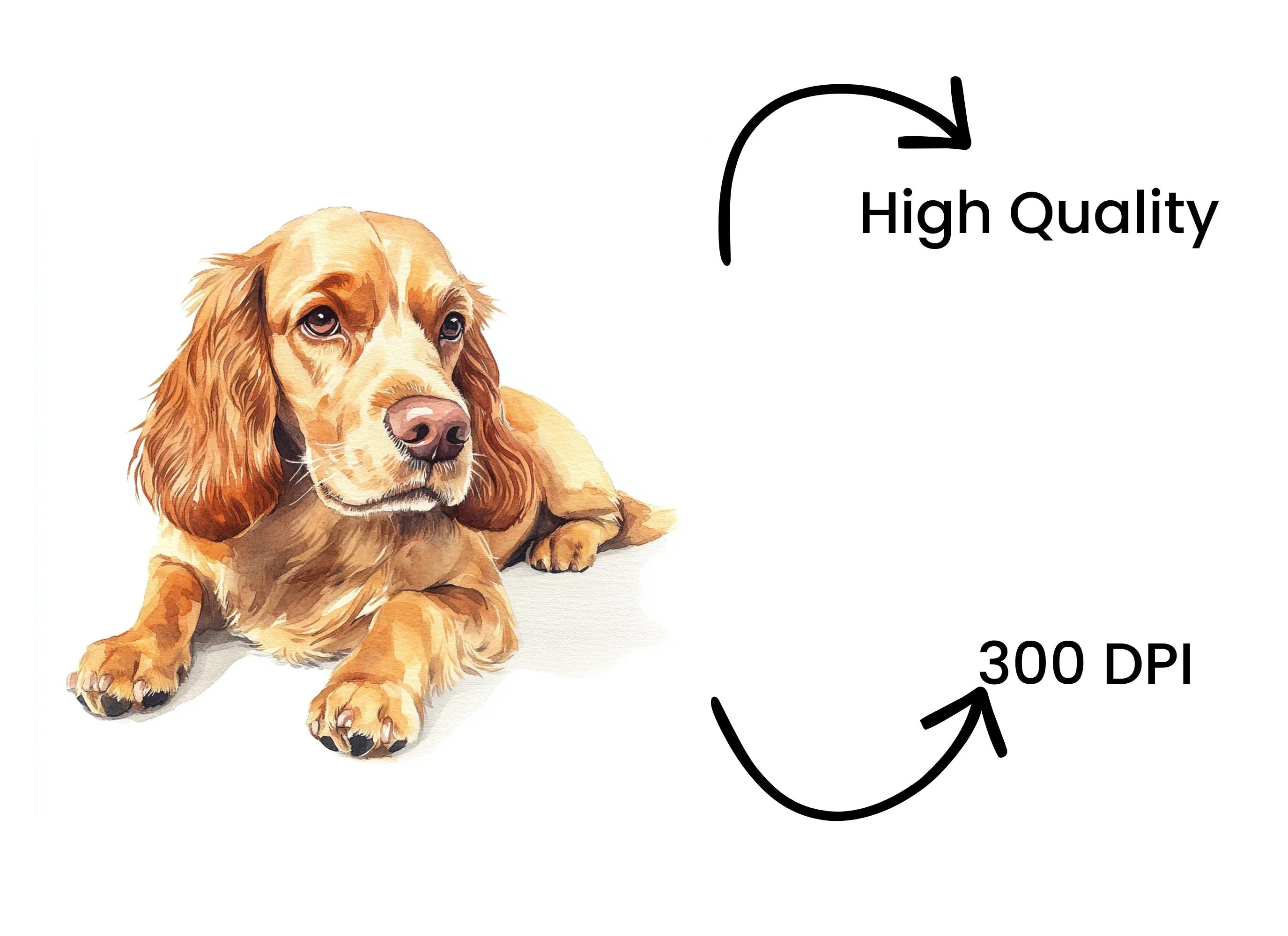 Adorable Cocker Spaniel Puppy Clipart Bundle