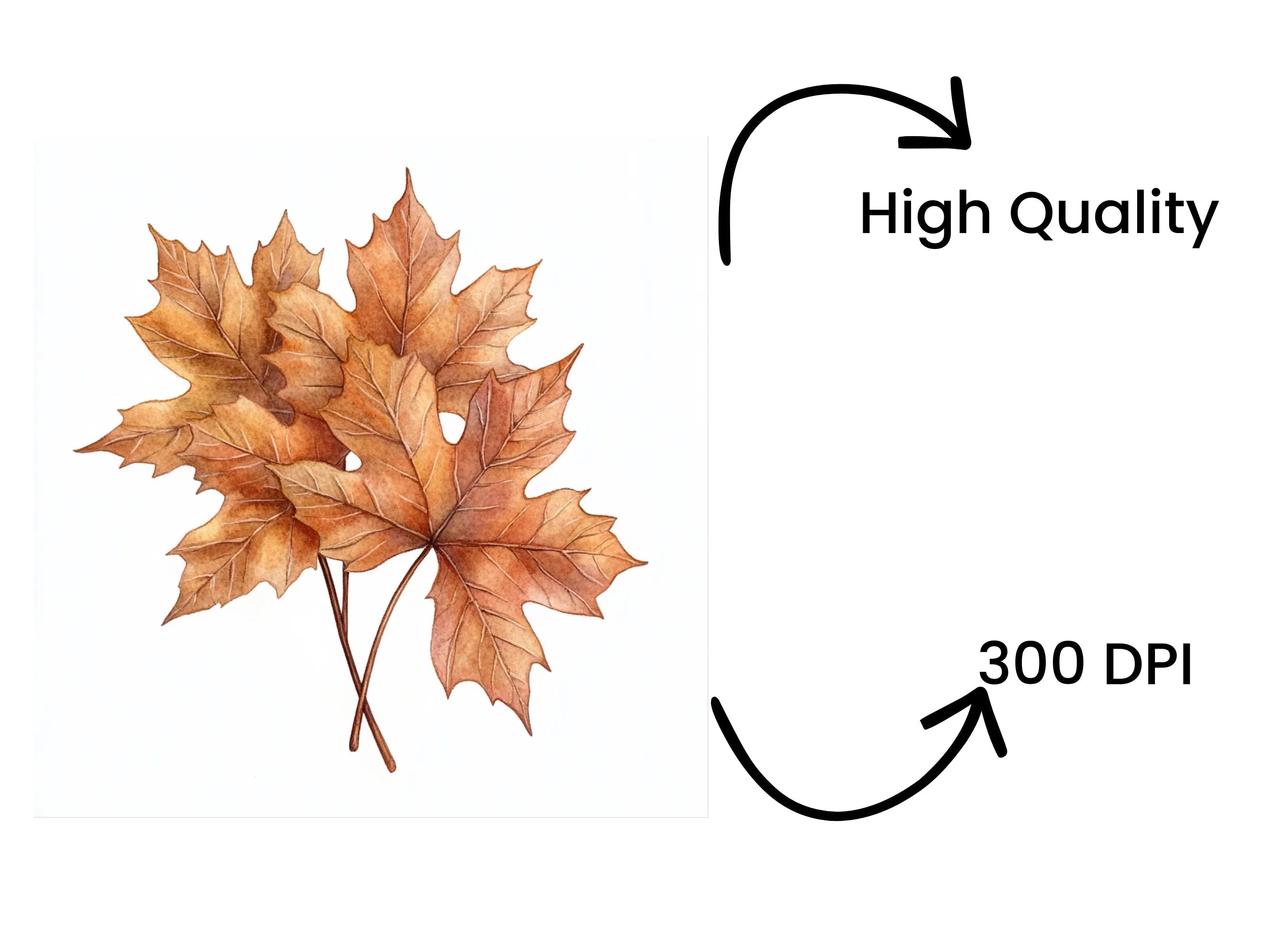 Autumn Leaves Clipart Bundle