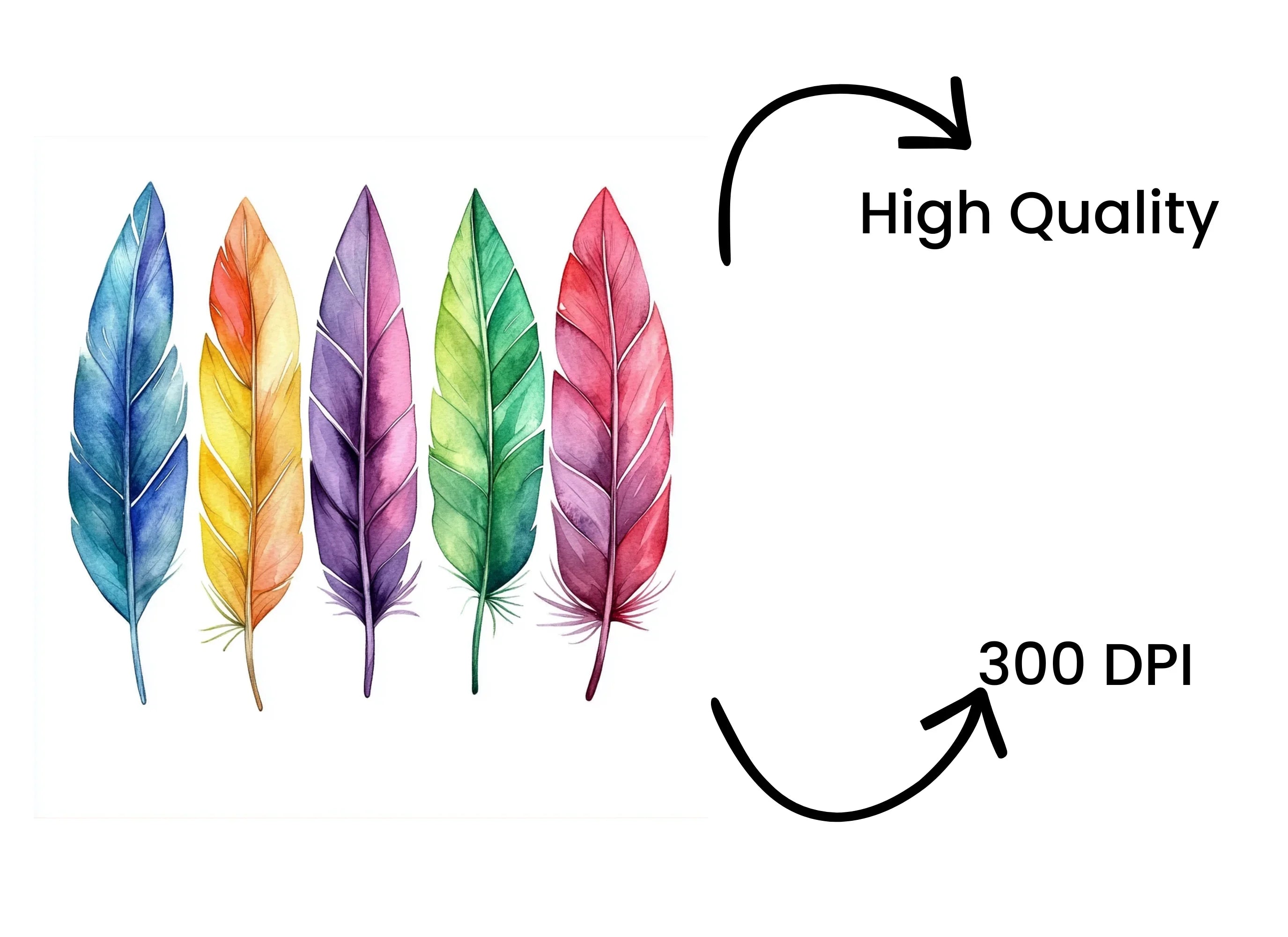 Vibrant Feather Clipart Bundle