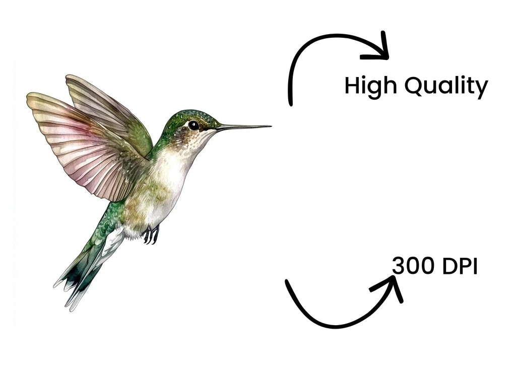 Hummingbird Clipart Bundle