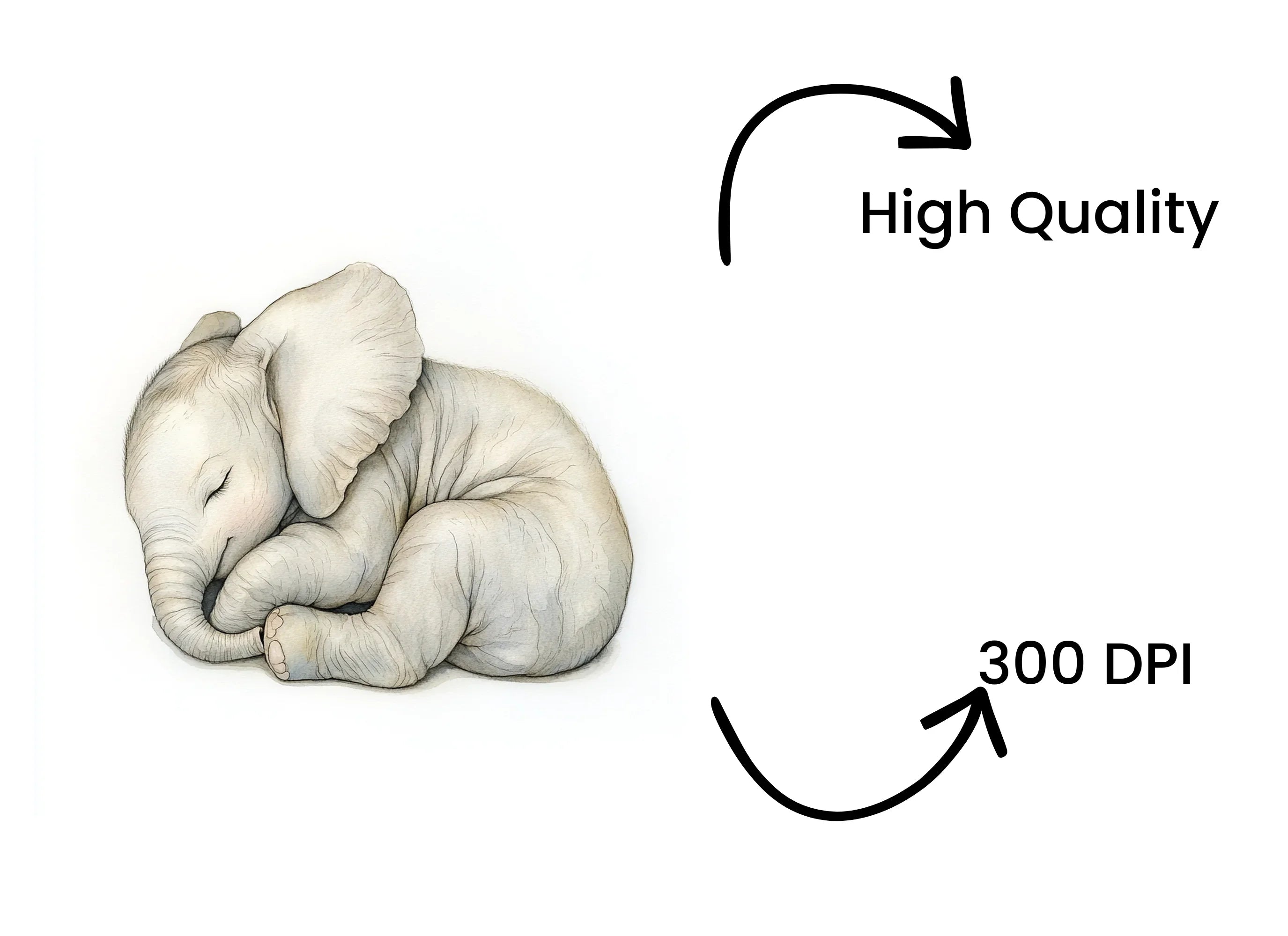 Cute Sleeping Baby Elephant Clipart Bundle