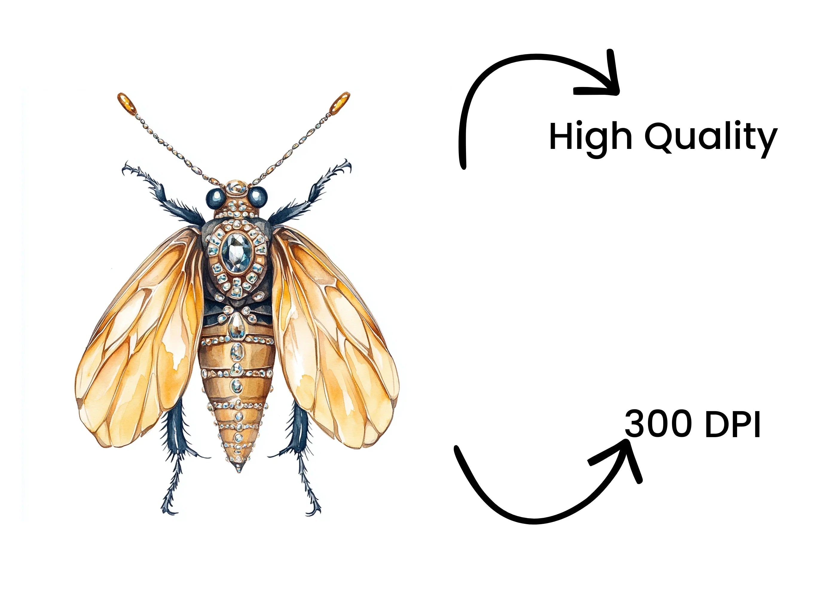Golden Jeweled Wasp Clipart Bundle
