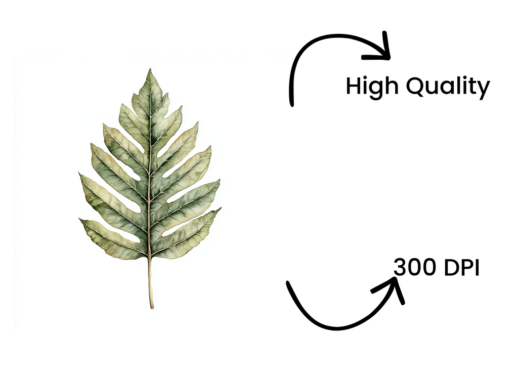 Botanical Leaves Clipart Bundle