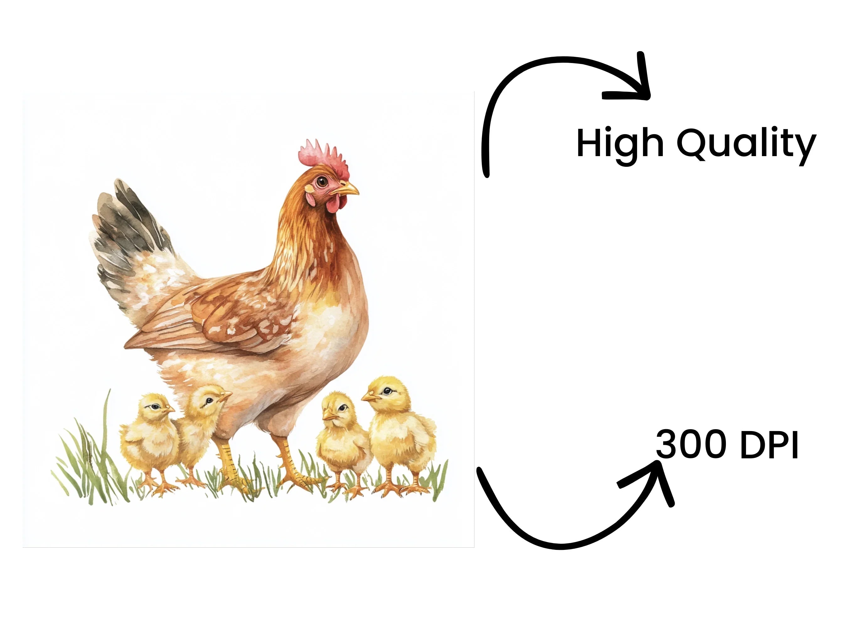 Hen and Chick Clipart Bundle