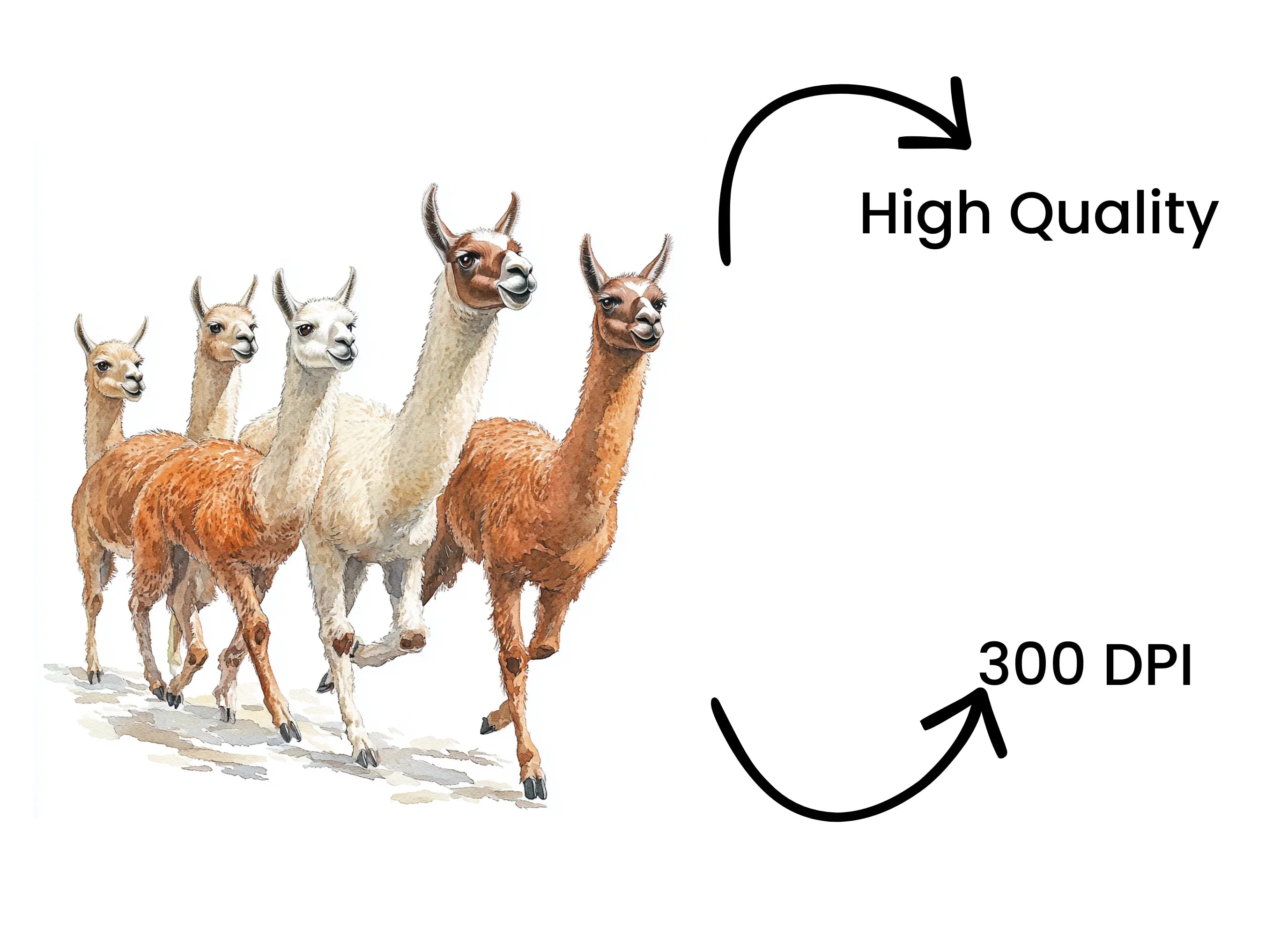Llama Herd Clipart Bundle