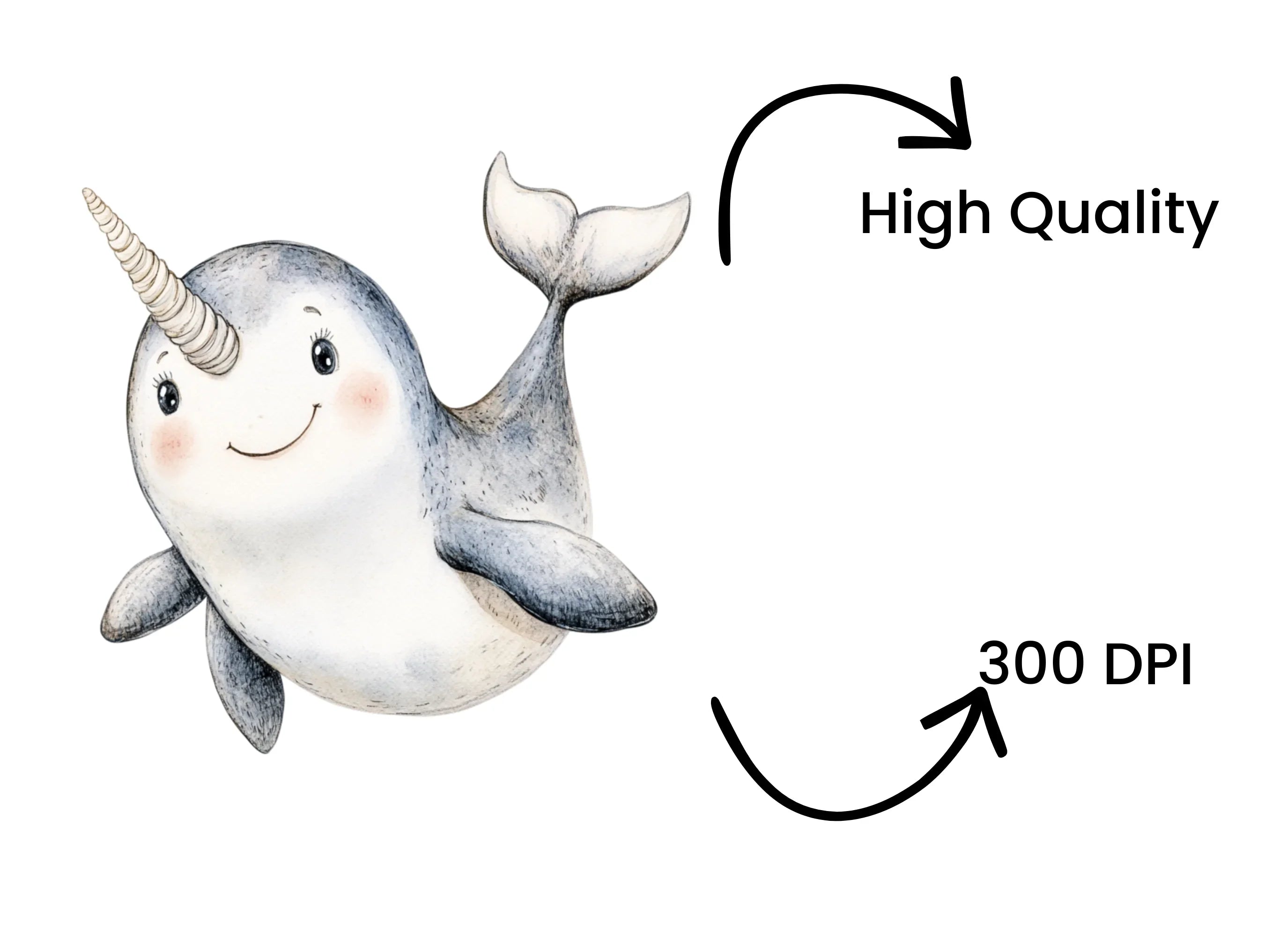 Adorable Narwhal Clipart Bundle