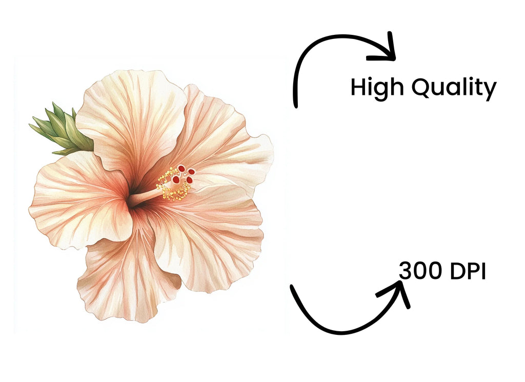 Exquisite Hibiscus Clipart Bundle