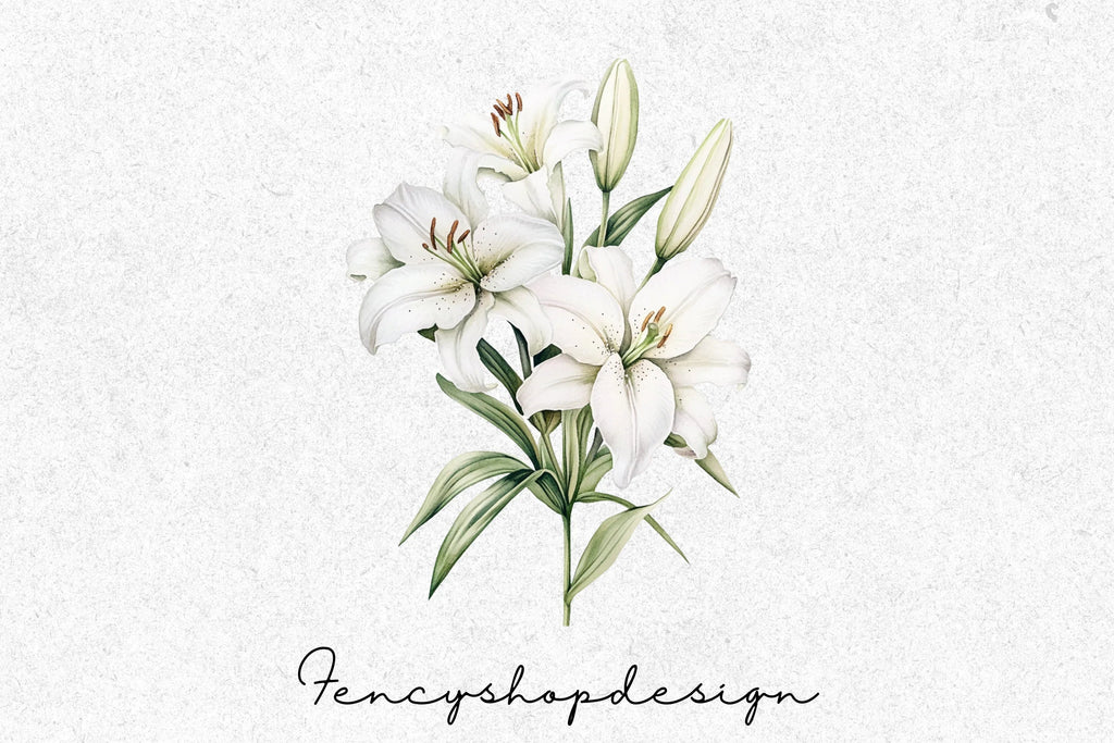 Delicate White Flowers Clipart Bundle