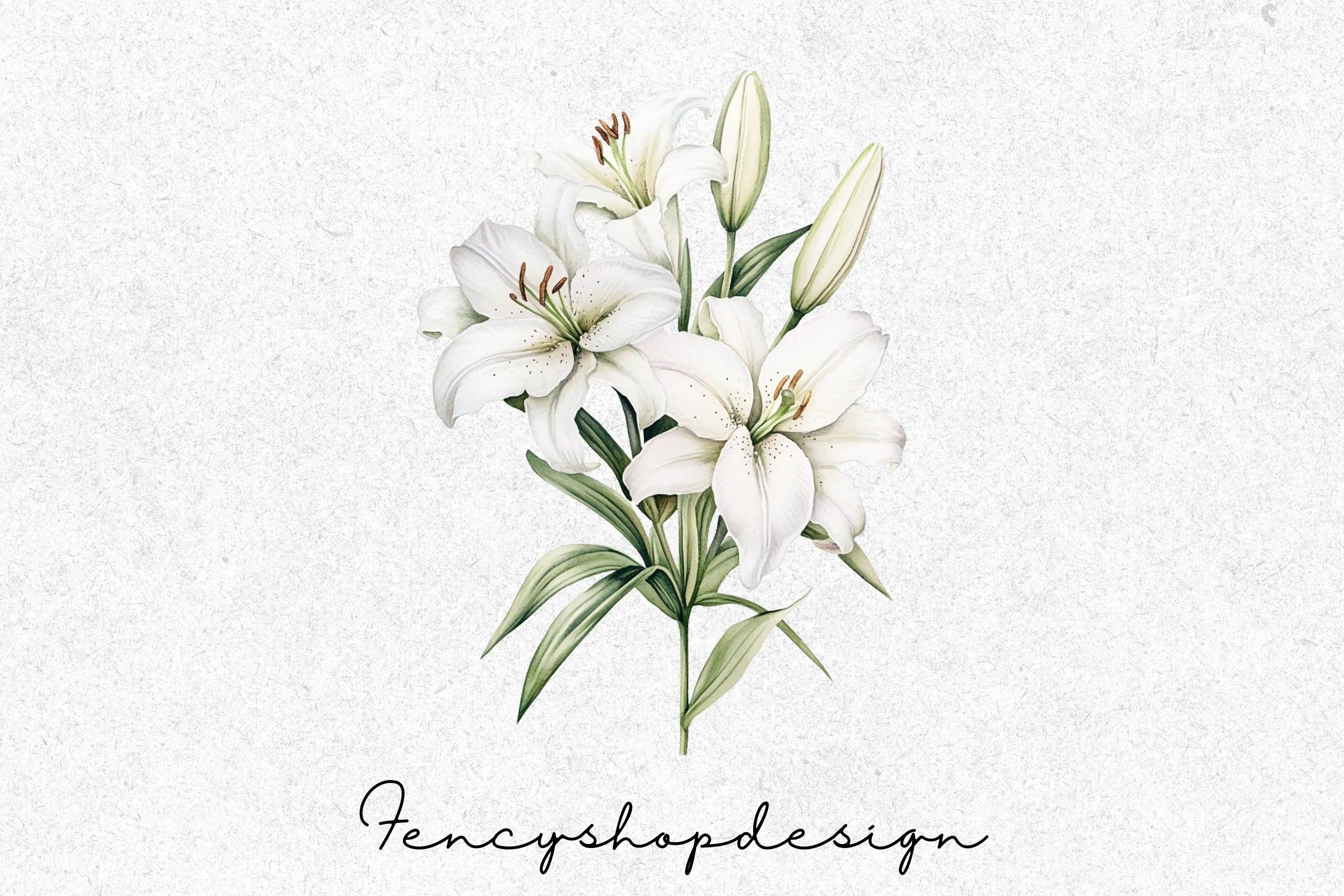 Delicate White Flowers Clipart Bundle
