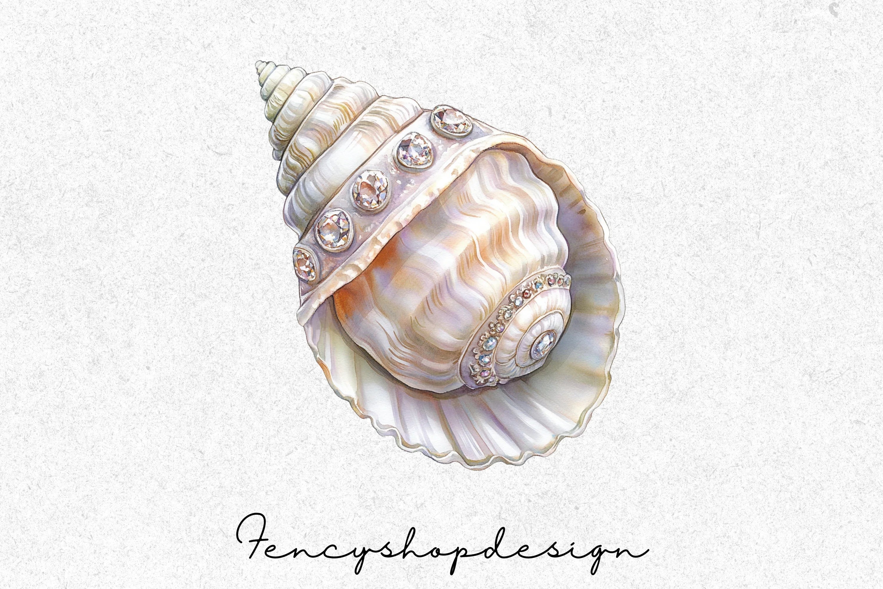Beautiful Seashells Clipart Bundle