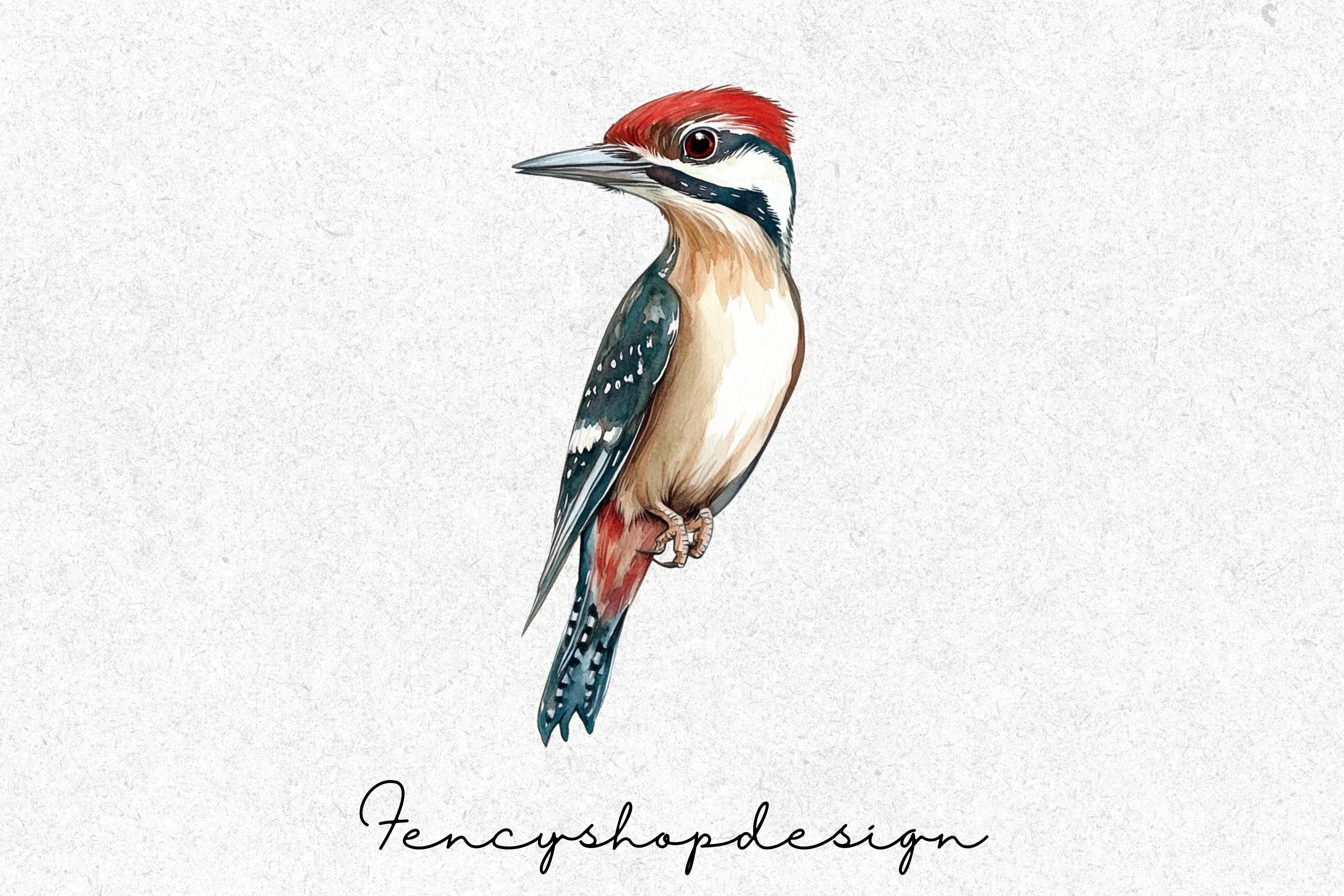 Woodpecker Bird Clipart Bundle