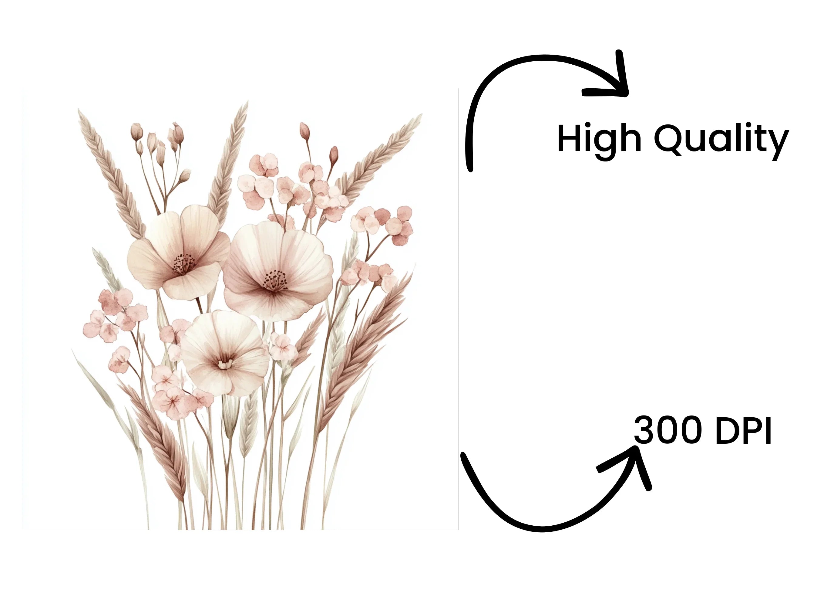 Pampas Grass Floral Clipart Bundle
