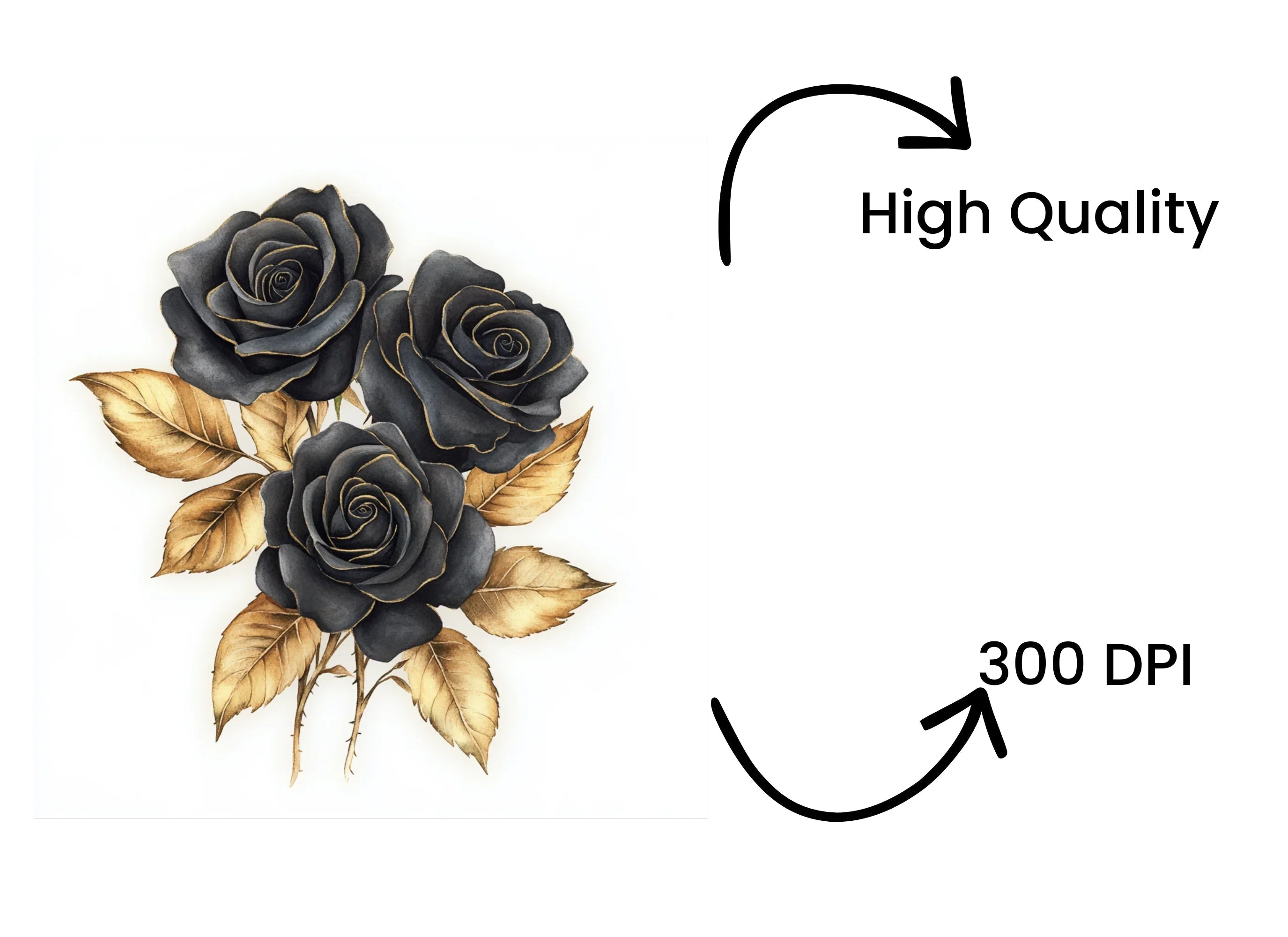 Elegant Black Roses with Gold Leaves Clipart Bundle