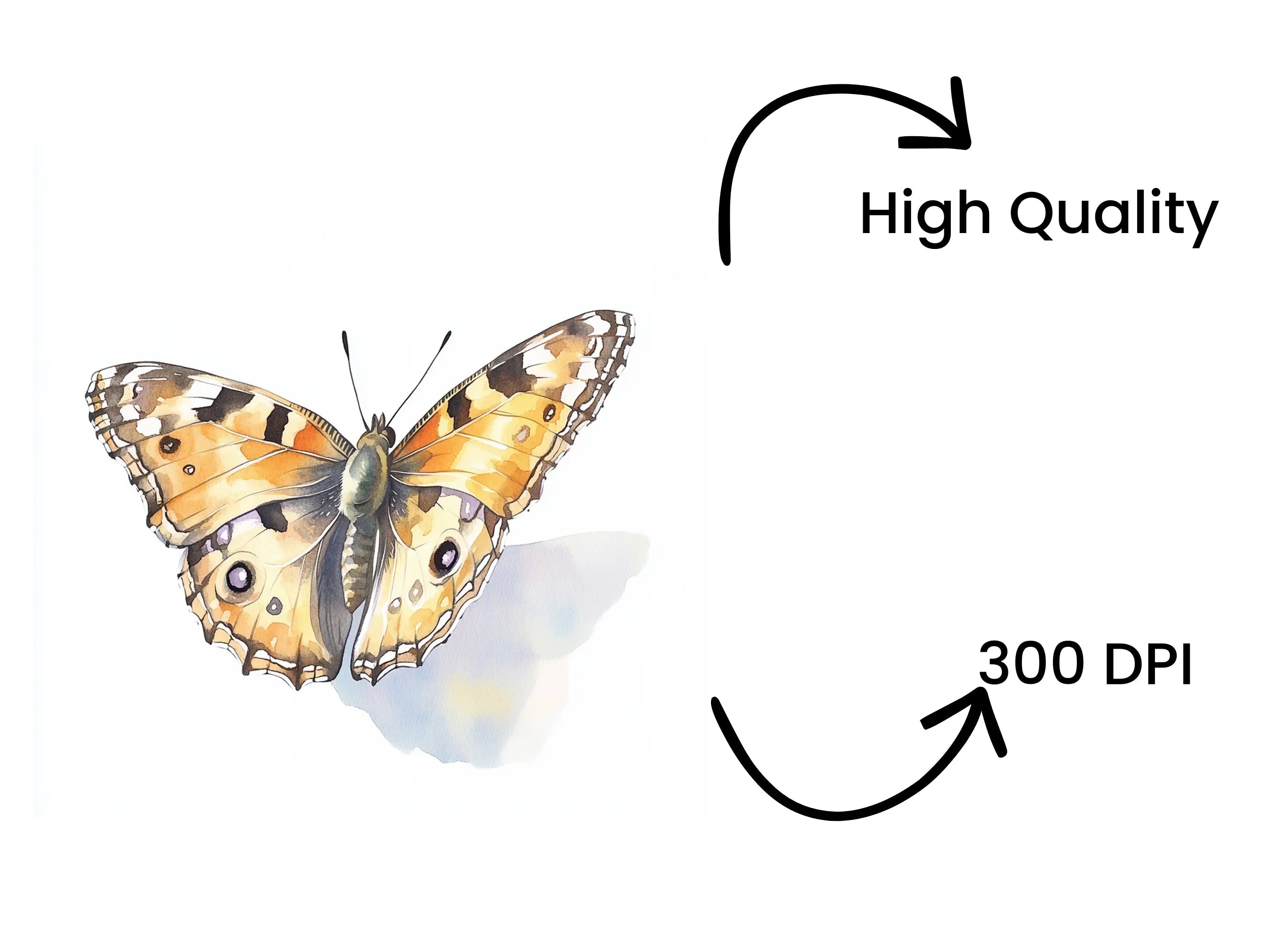 Painted Lady Butterfly Clipart Bundle