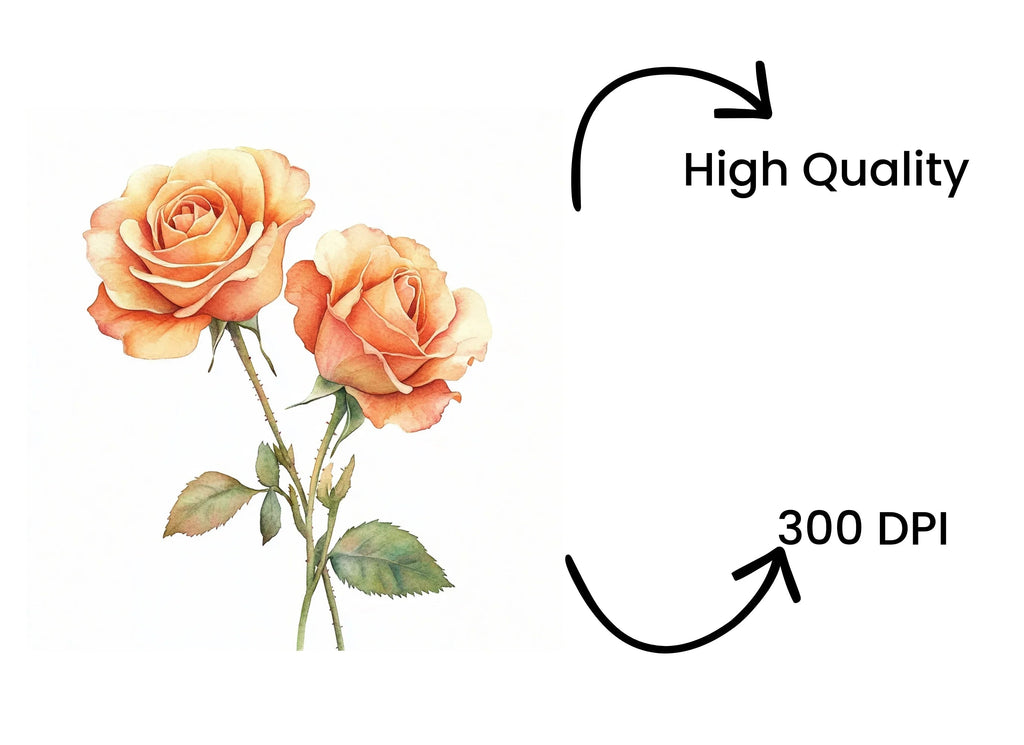 Elegant Peach Rose Clipart Bundle