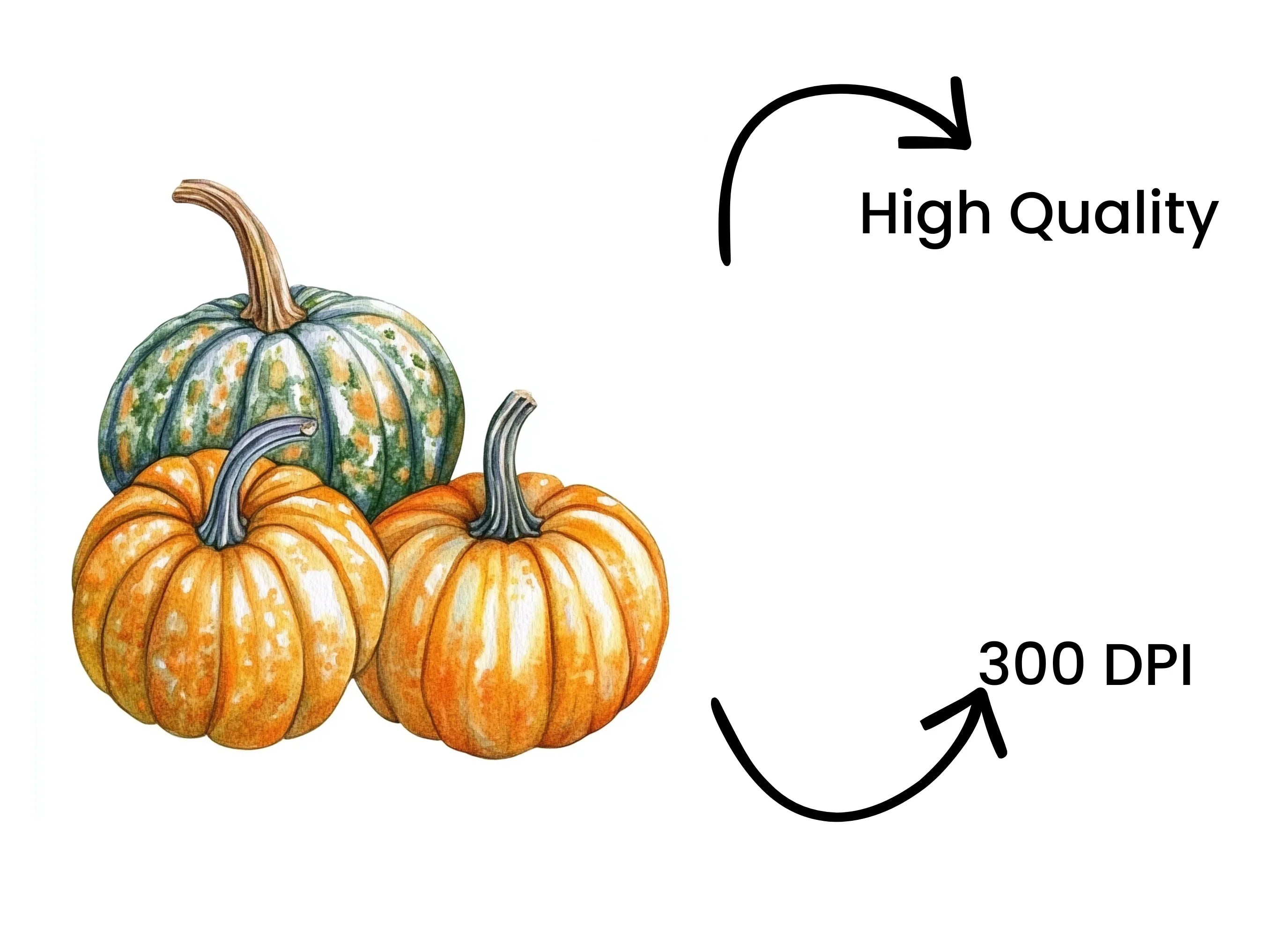 Autumn Pumpkin Clipart Bundle