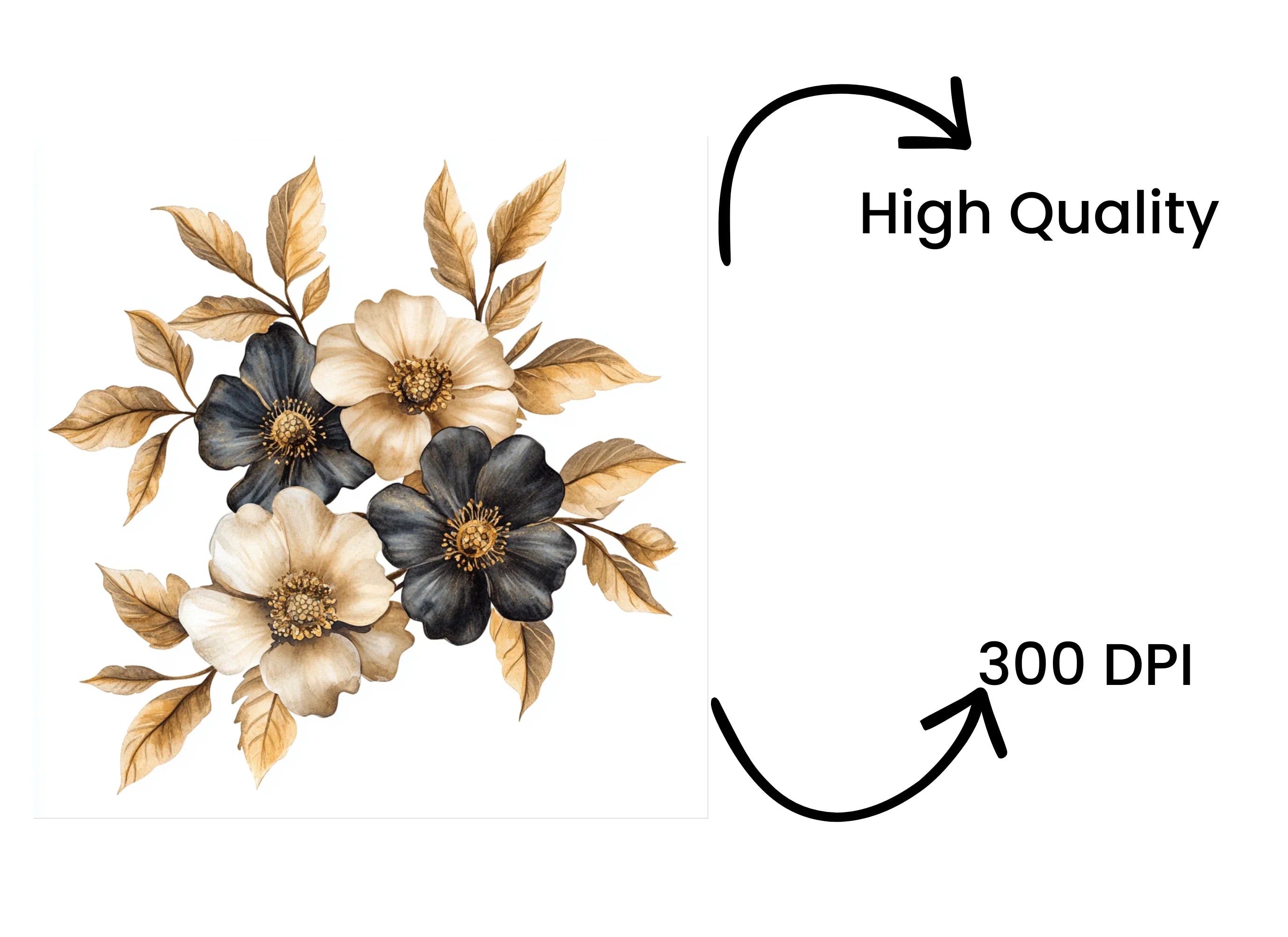 Vintage Black and Beige Flower Clipart Bundle