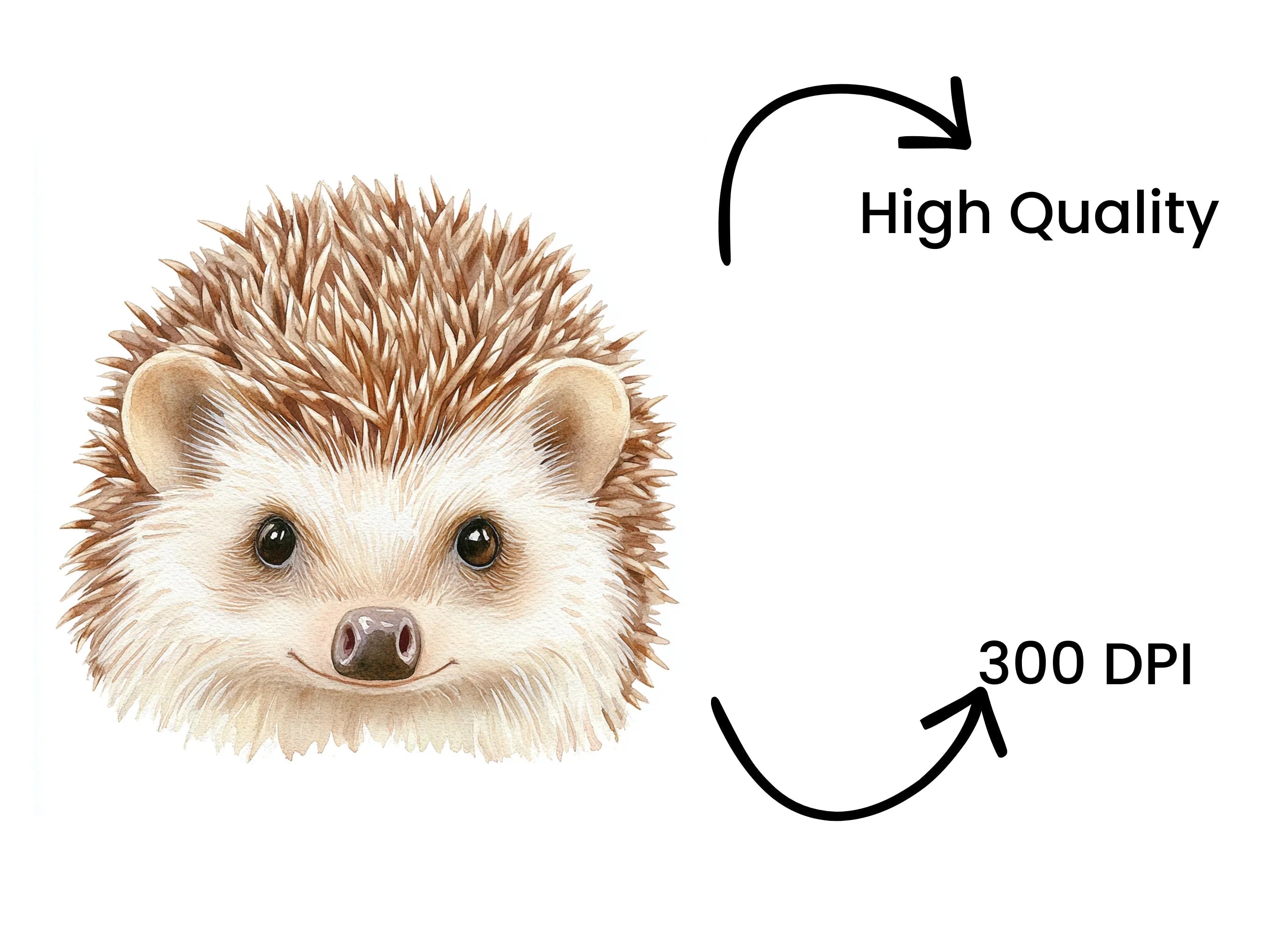 Cute Hedgehog Clipart Bundle