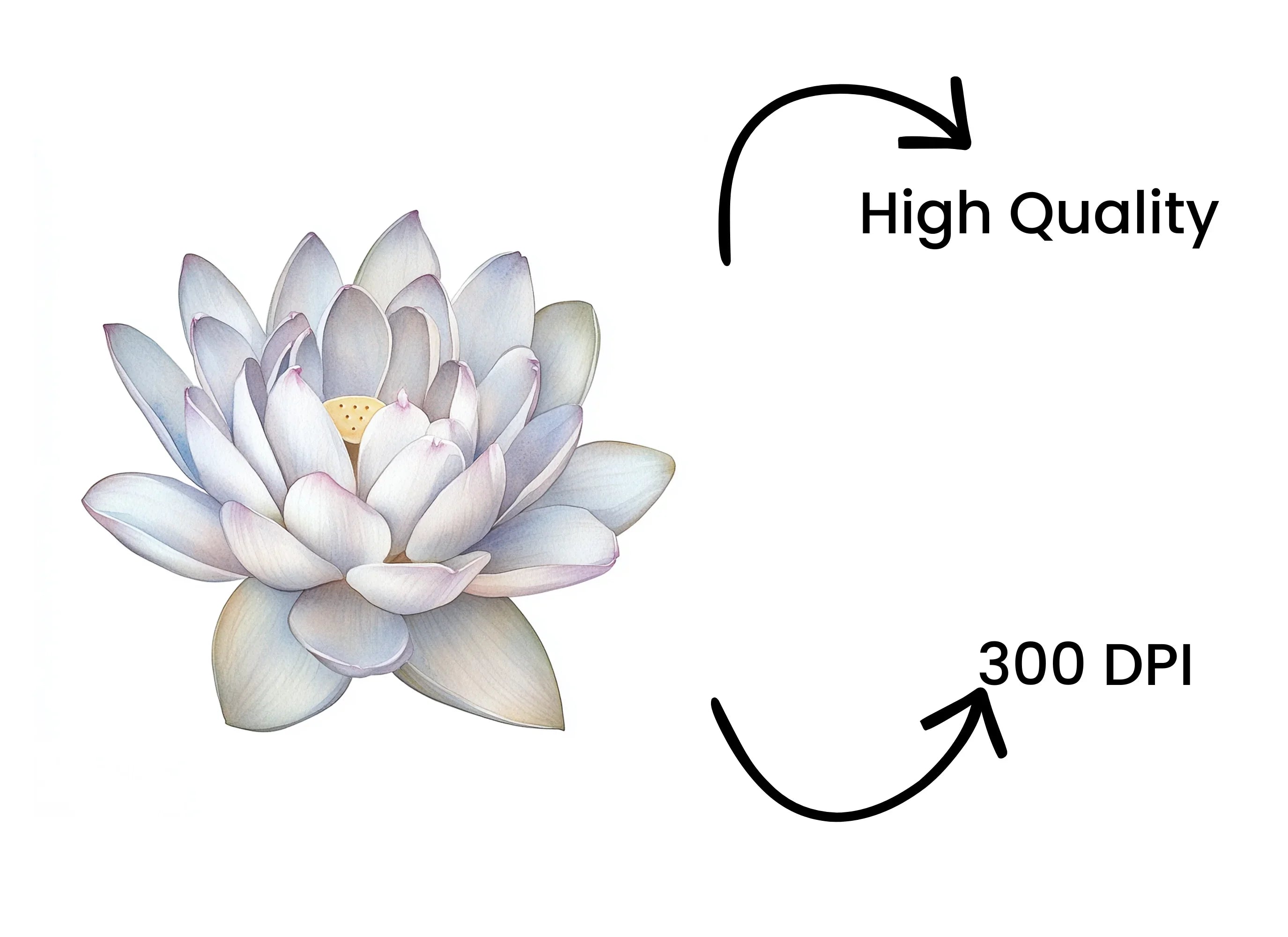 Graceful White Lotus Flower Clipart Bundle