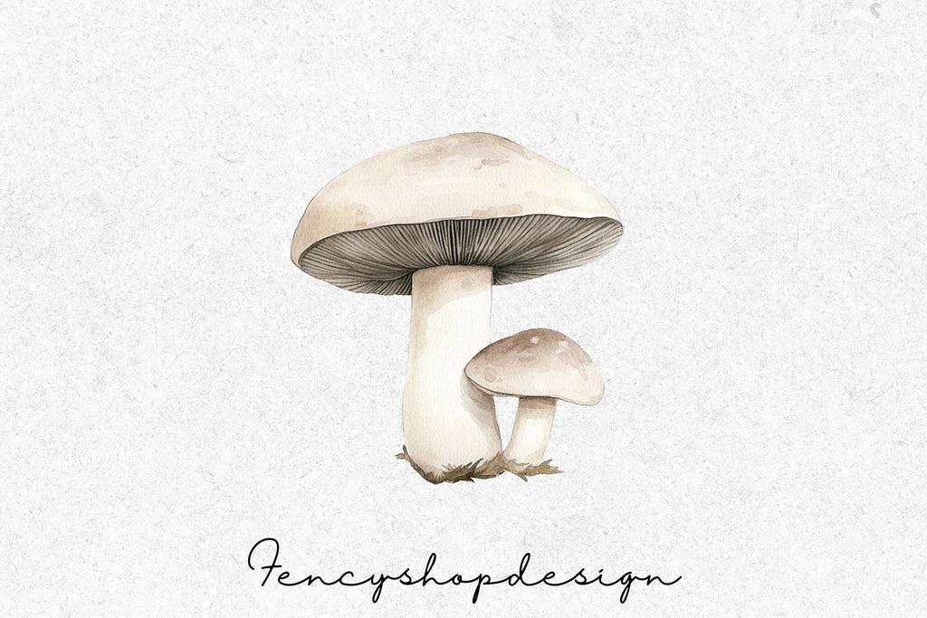 Forest Mushroom Clipart Bundle