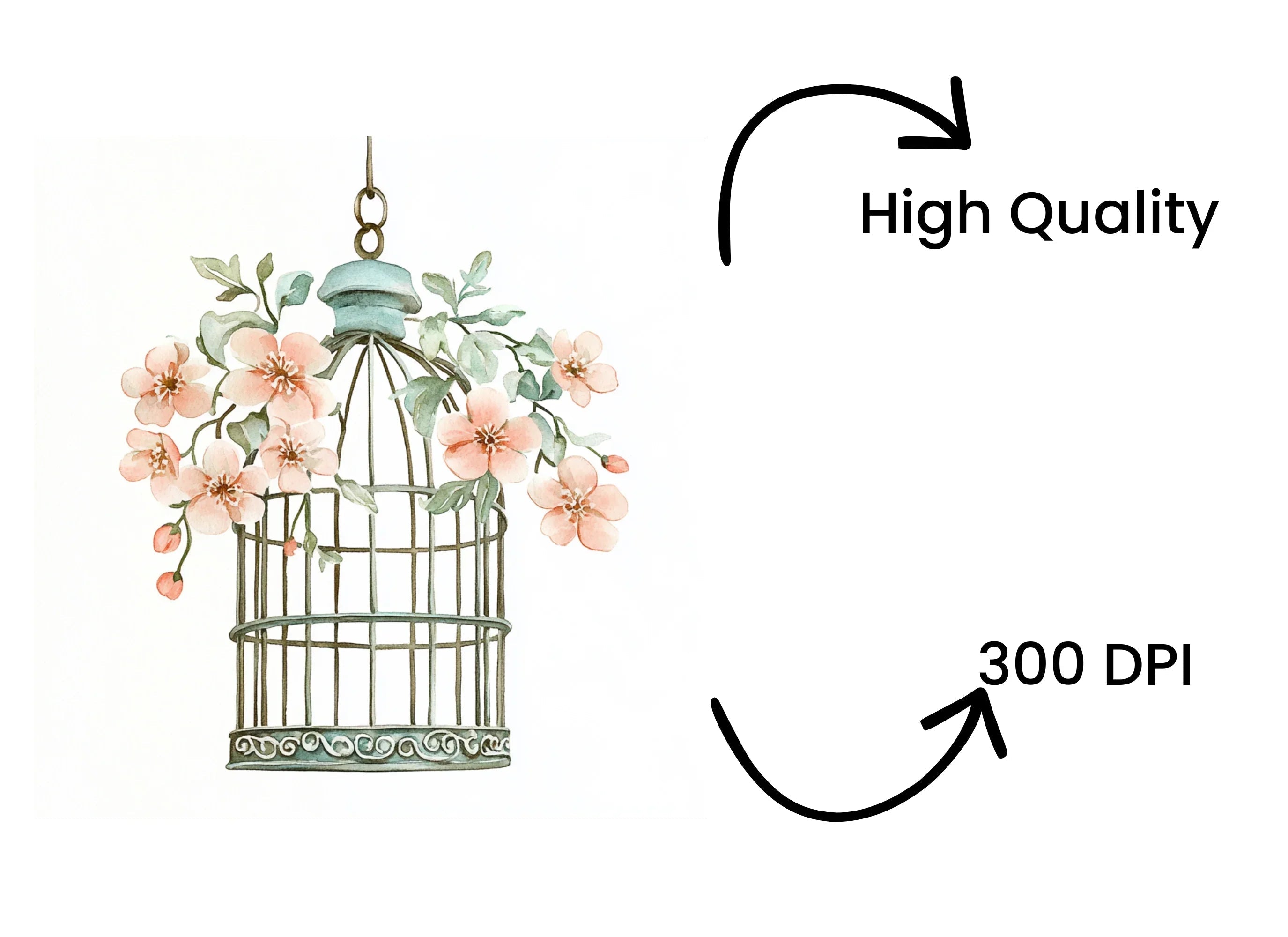 Charming Floral Birdcage Clipart Bundle