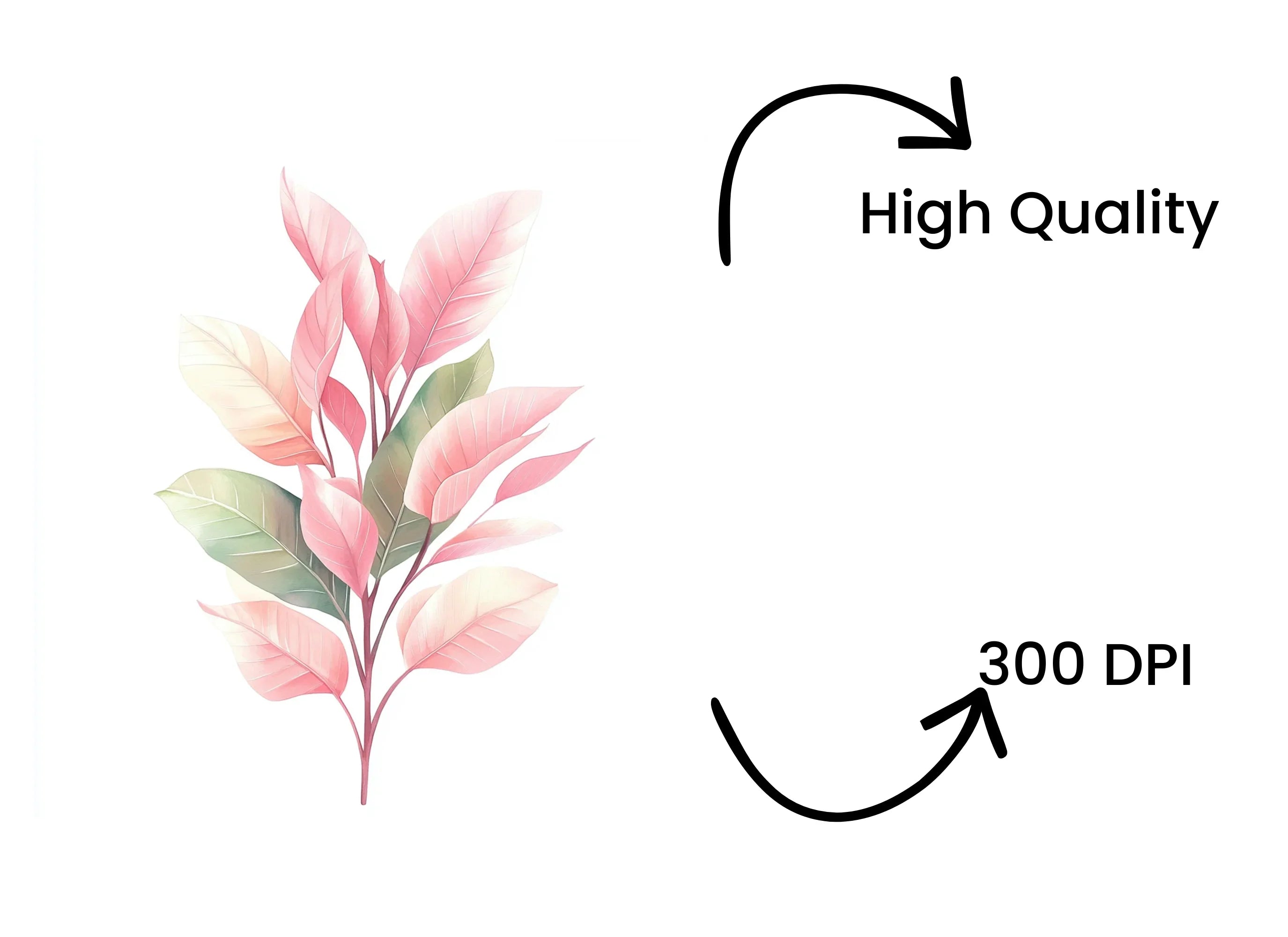 Soft Pink Green Foliage Clipart Bundle