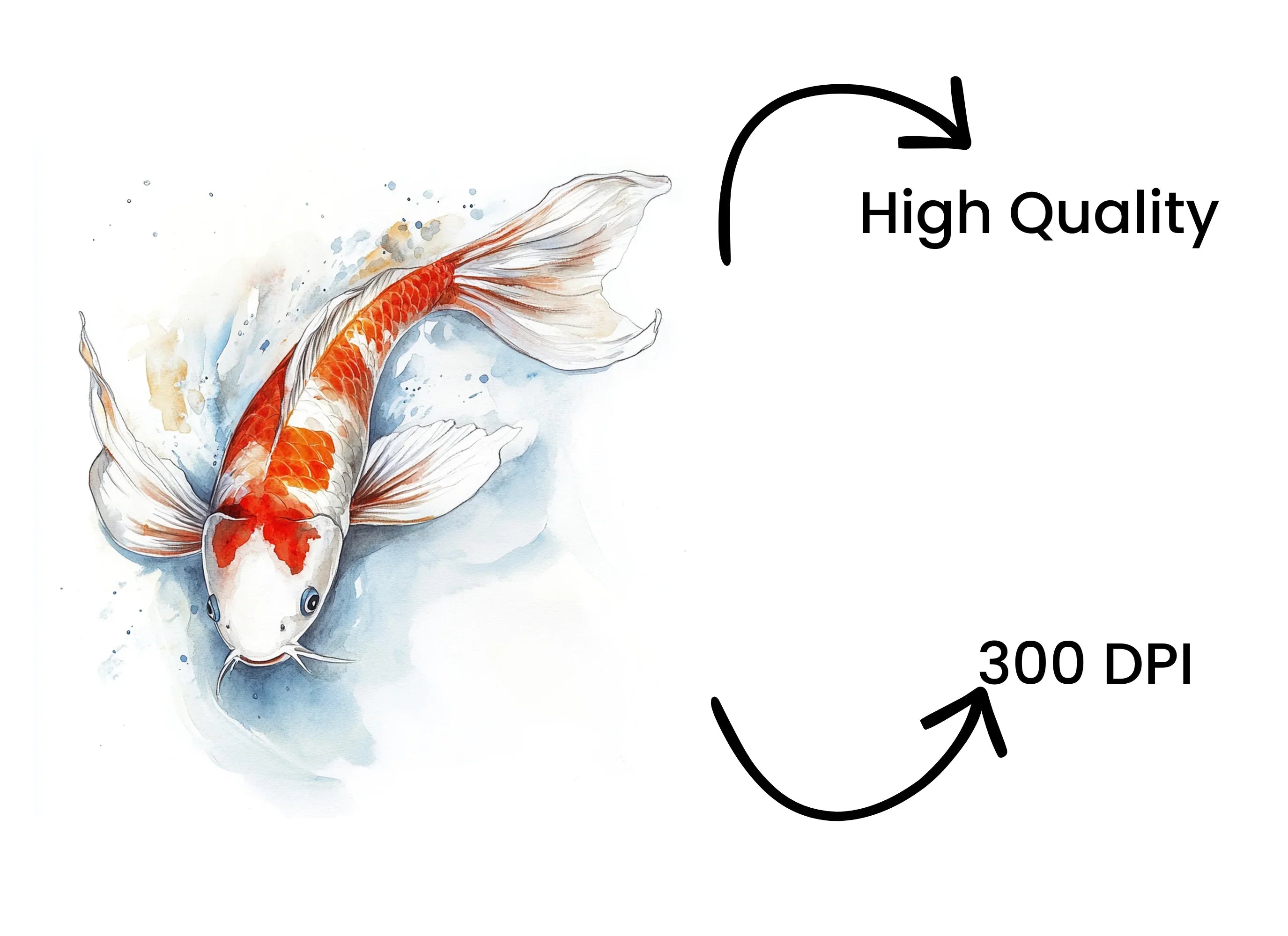 Koi Fish Clipart Bundle