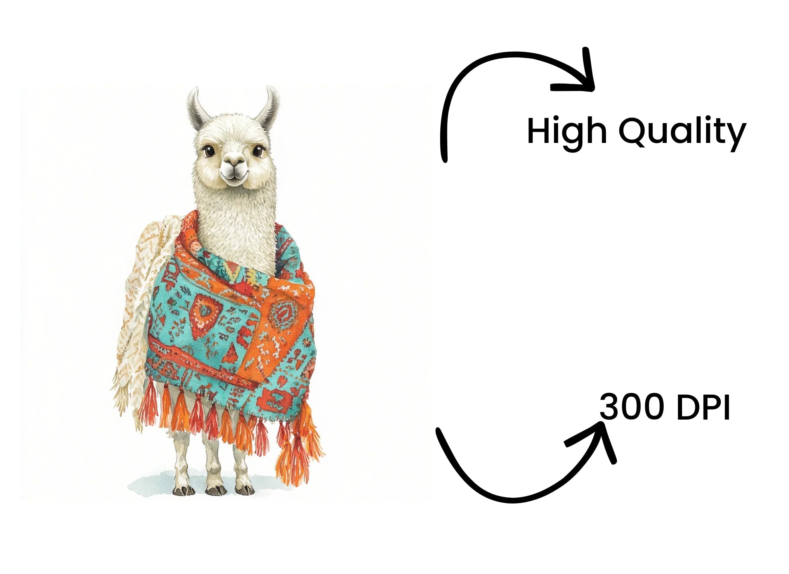 Vibrant Llama with Shawls Clipart Bundle