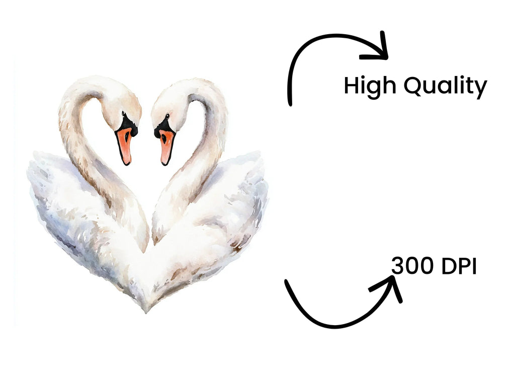 Swan Heart Clipart Bundle