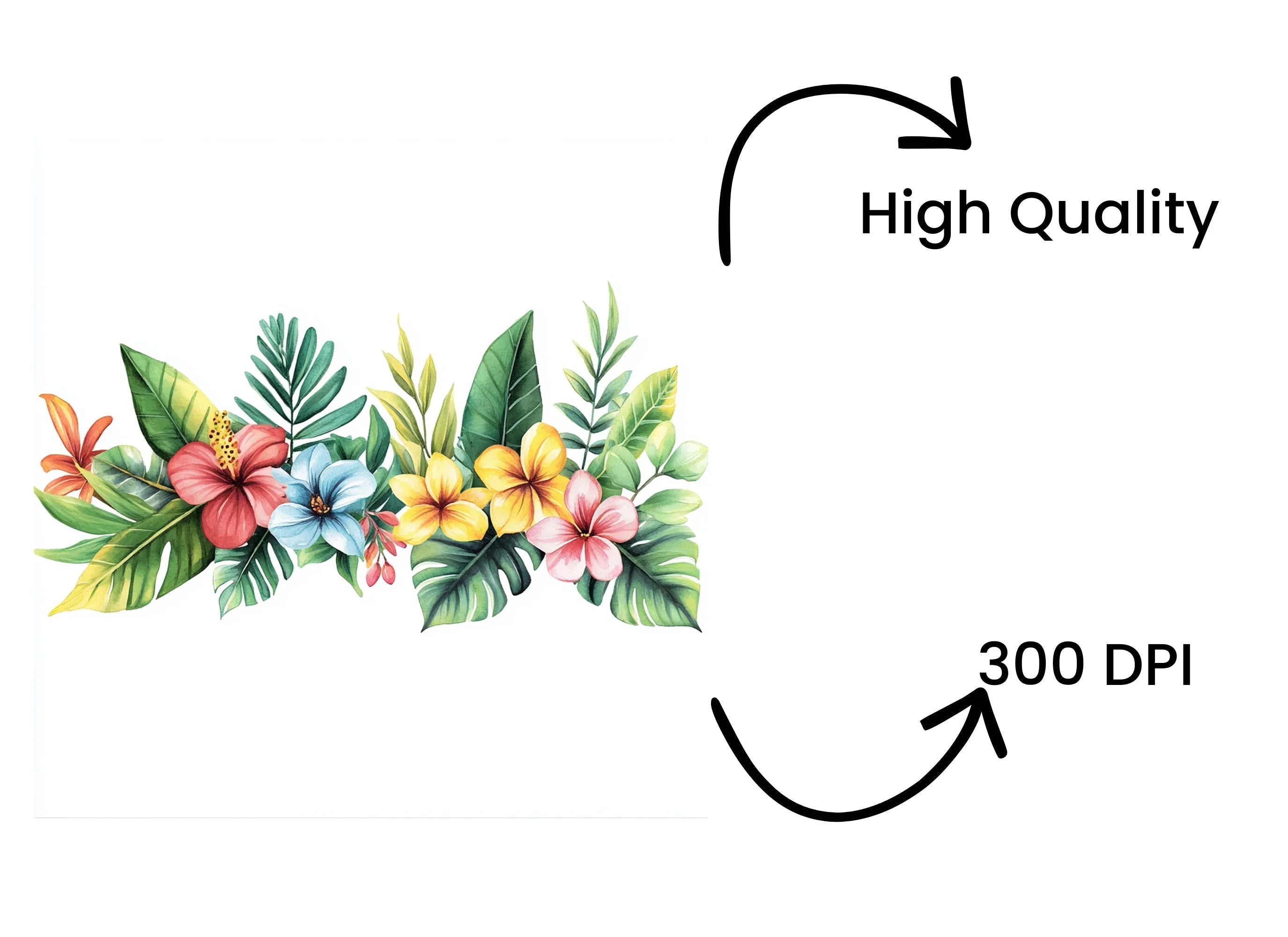 Tropical Flowers and Leaves Clipart Bundle