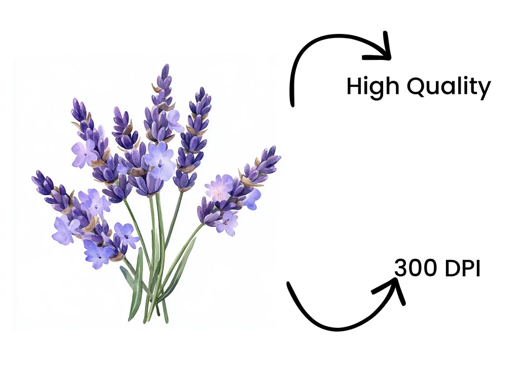 Elegant Lavender Graphics Clipart Bundle
