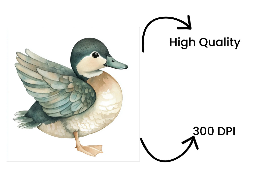 Cute Duck Clipart Bundle