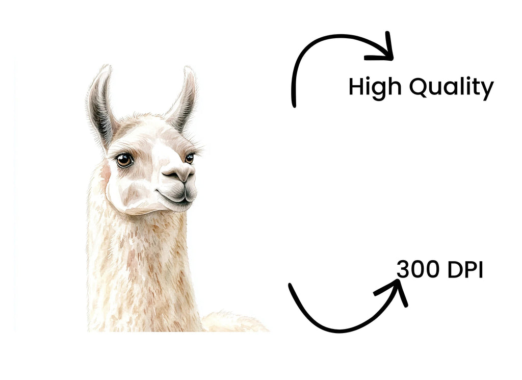 Cute Llama Faces Clipart Bundle