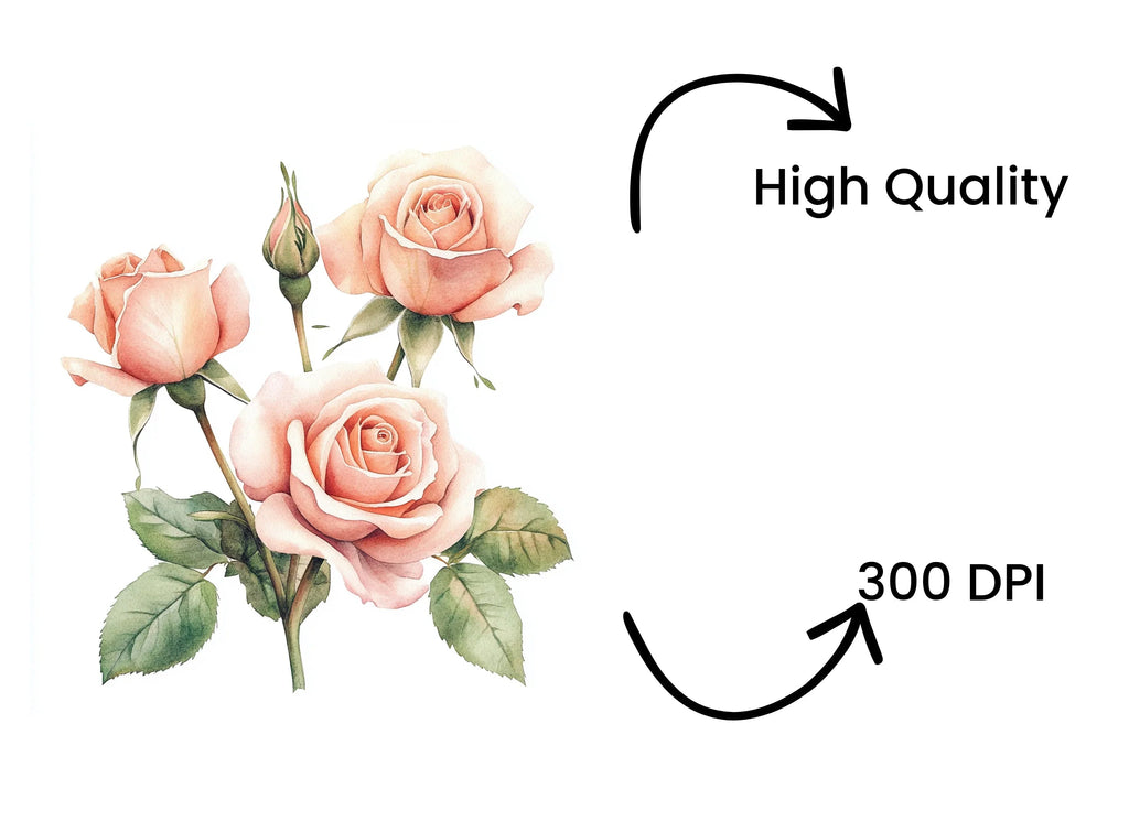 Elegant Peach Rose Clipart Bundle