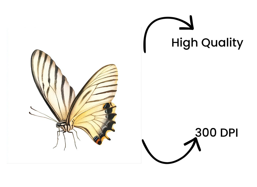 Elegant Butterfly Side View Clipart Bundle