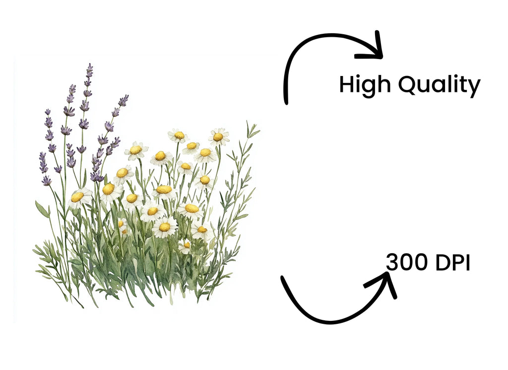 Wildflower Meadow Clipart Bundle