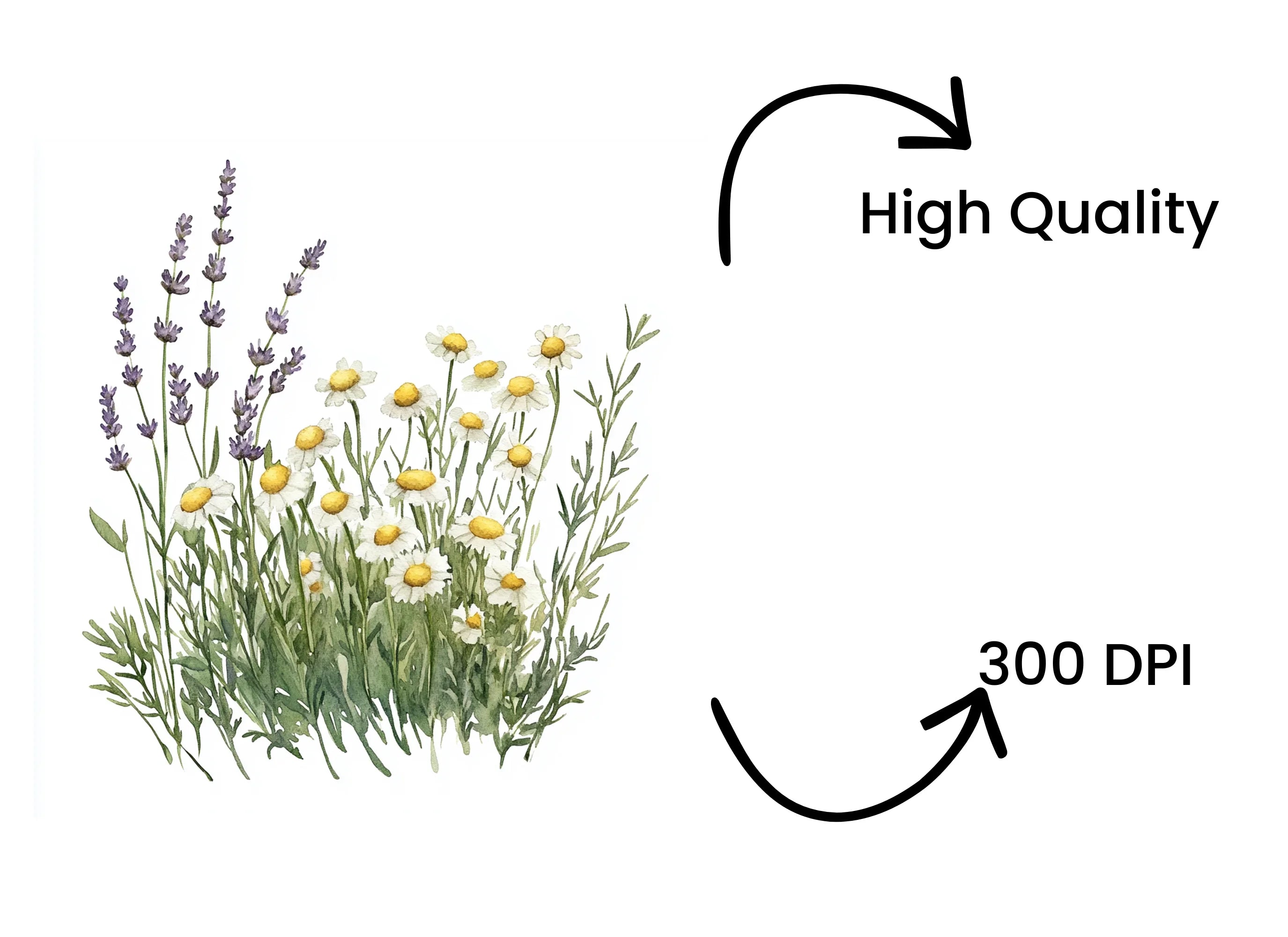 Wildflower Meadow Clipart Bundle