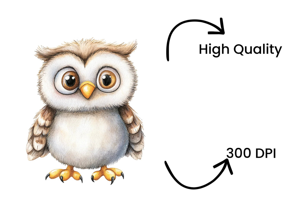 Cute Owl Clipart Bundle